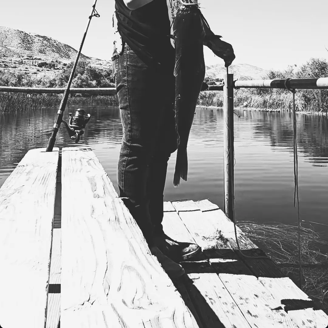 Channel catfish caught on Fishbrain