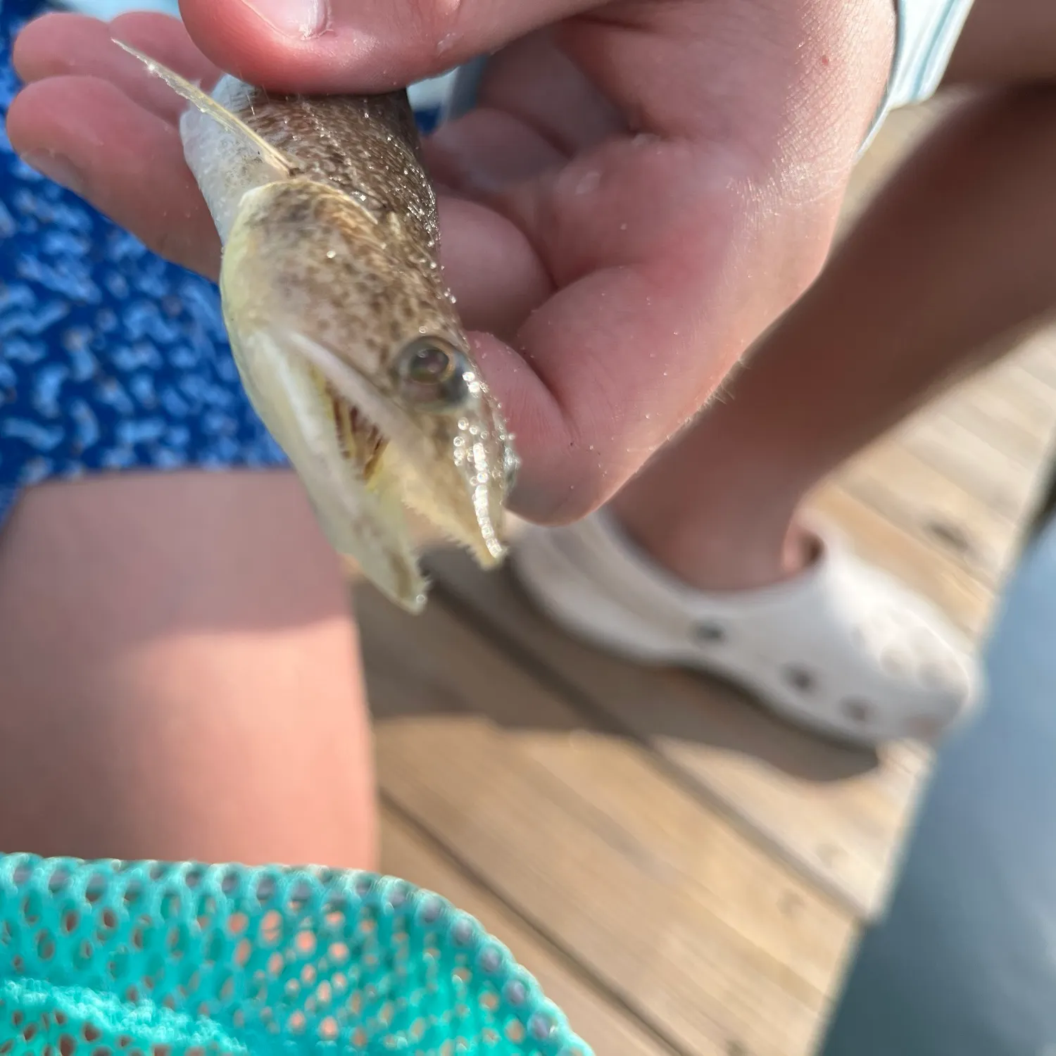catch