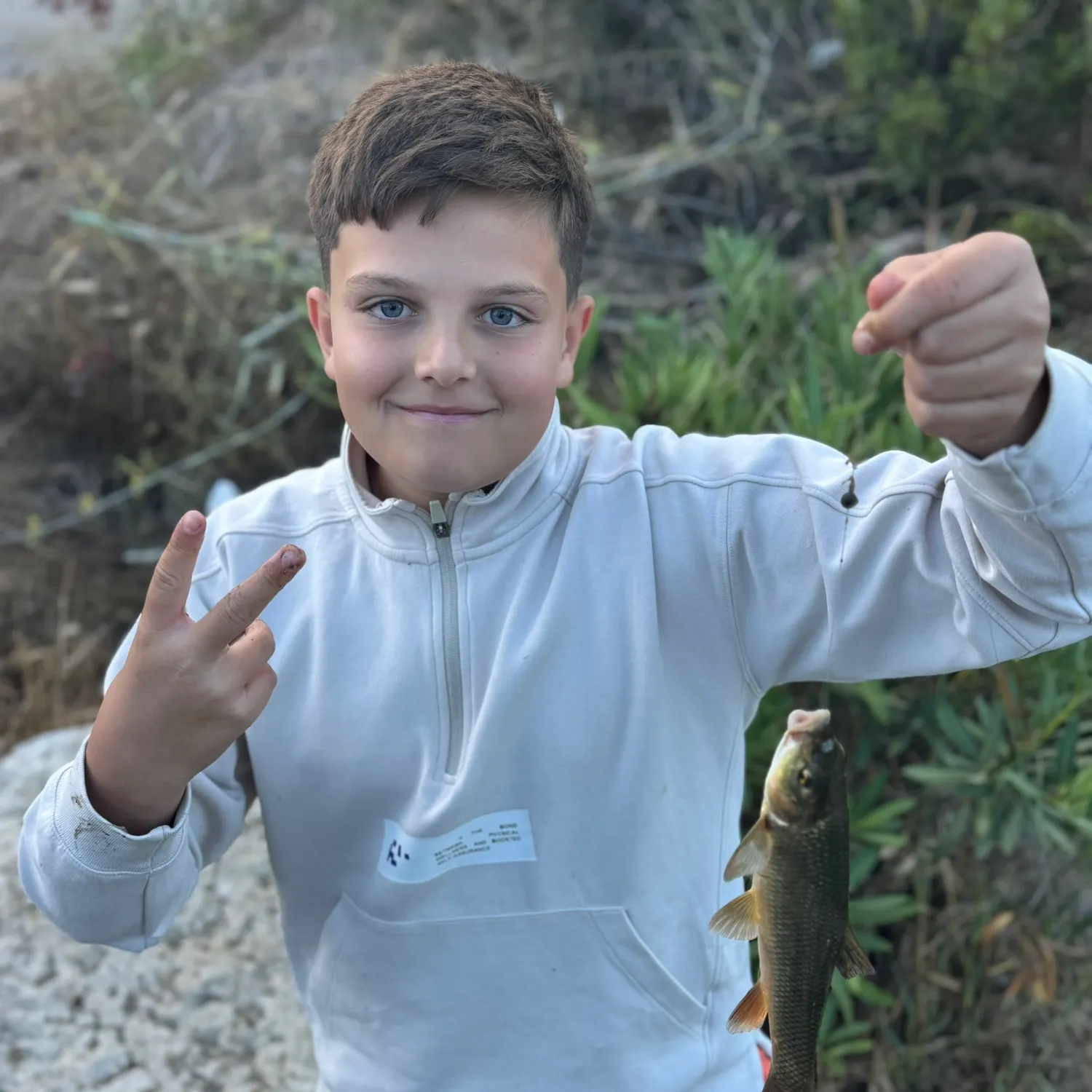 Andalusian barbel caught on Fishbrain