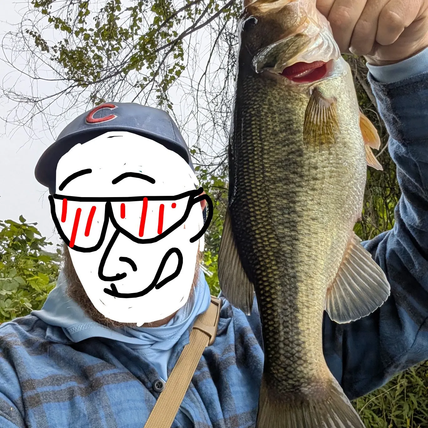 Largemouth bass caught on Fishbrain
