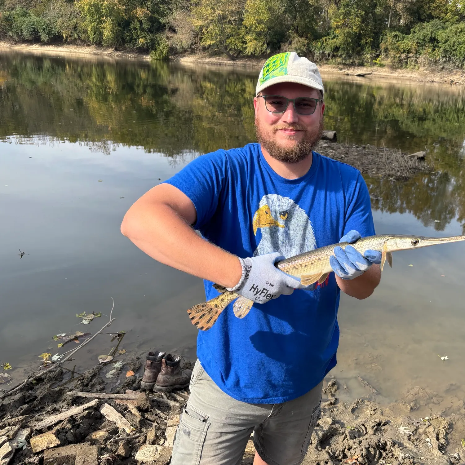 Longnose gar caught on Fishbrain
