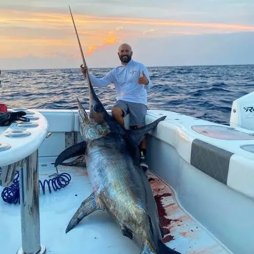 The most recent Atlantic blue marlin catches on Fishbrain