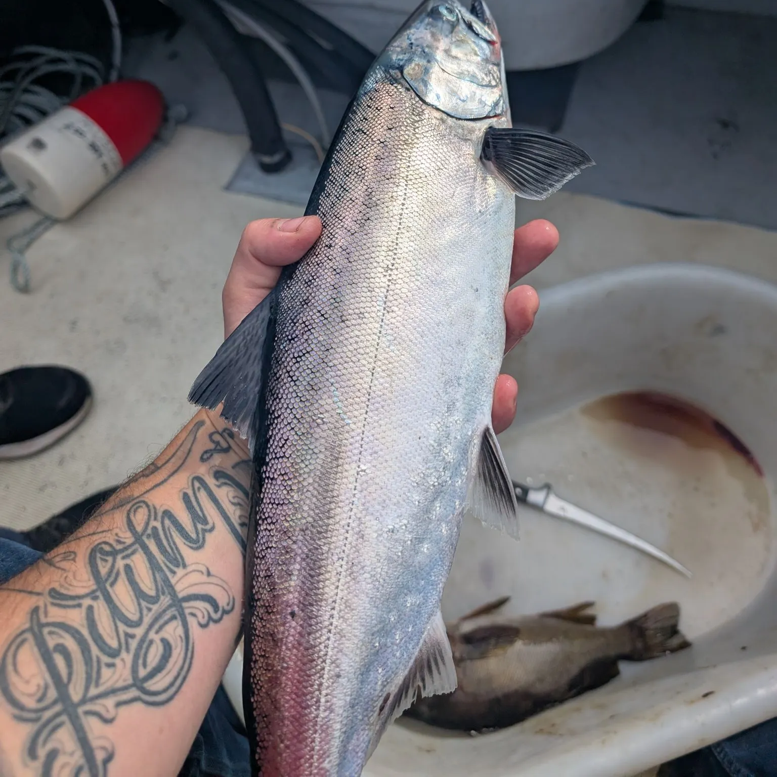 catch