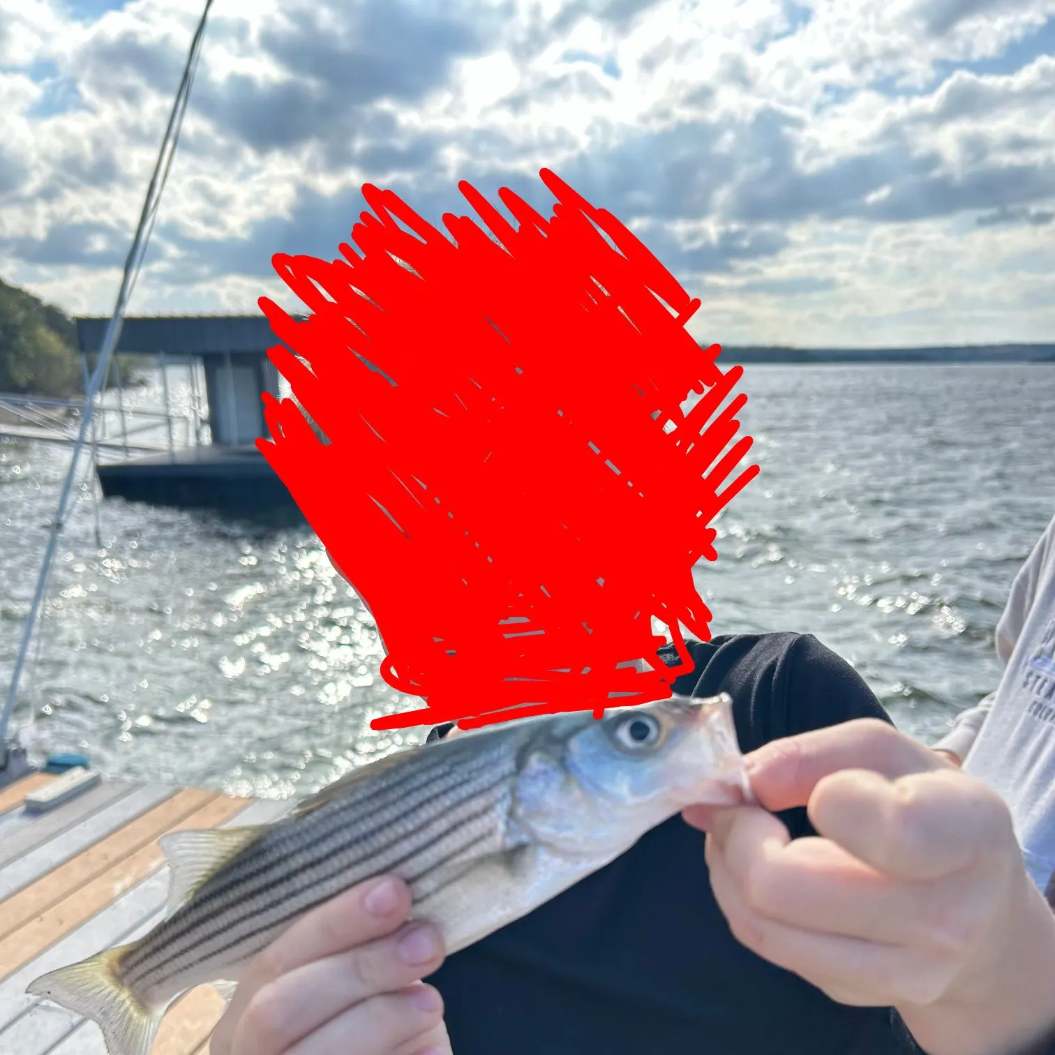 The most recent Striped bass catches on Fishbrain