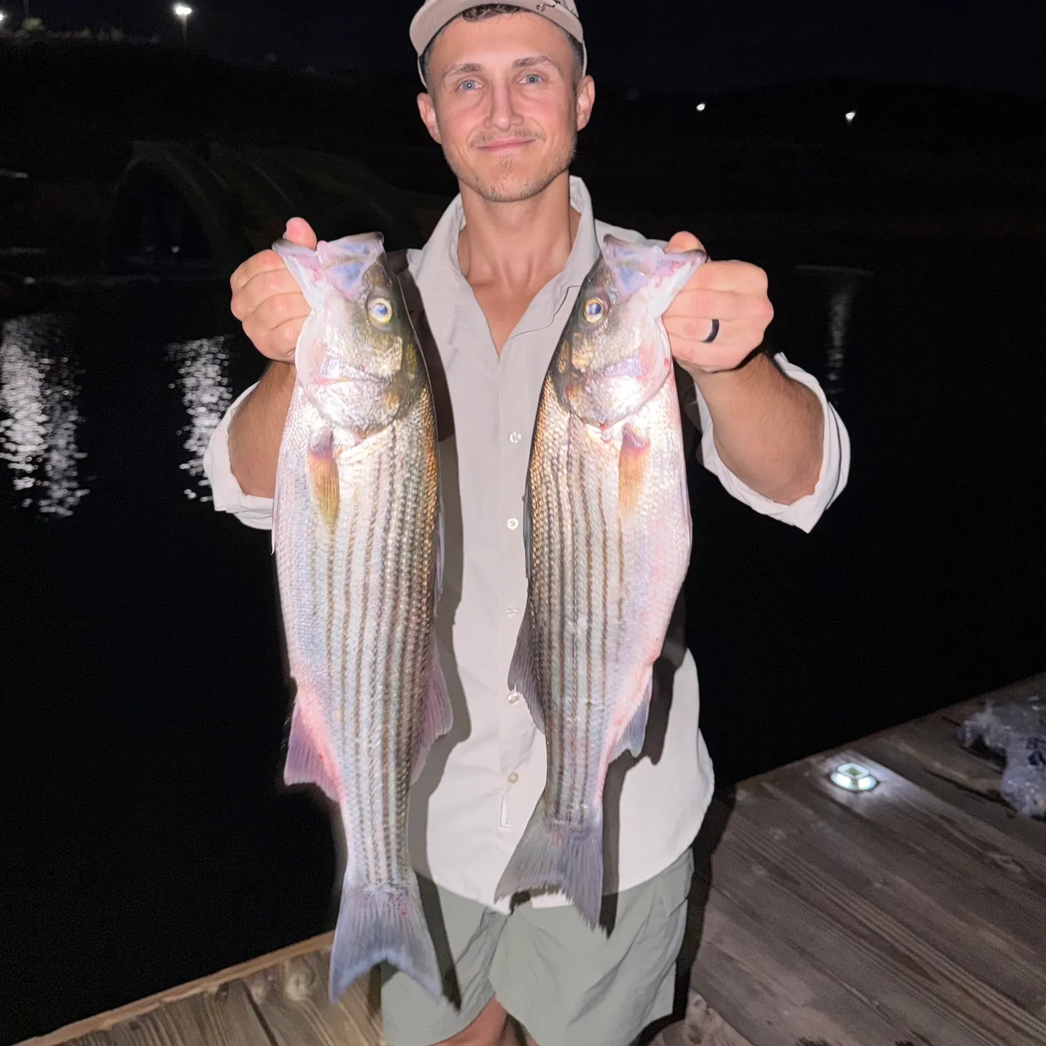 Striped bass caught on Fishbrain