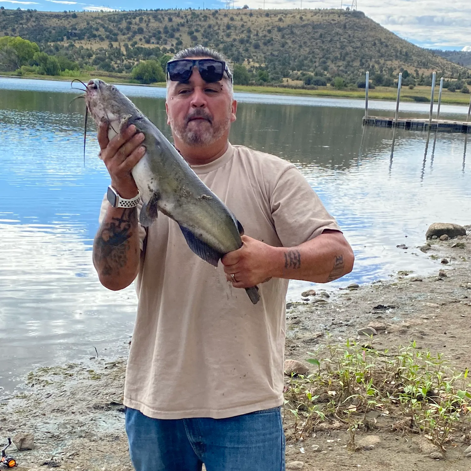 Channel catfish caught on Fishbrain