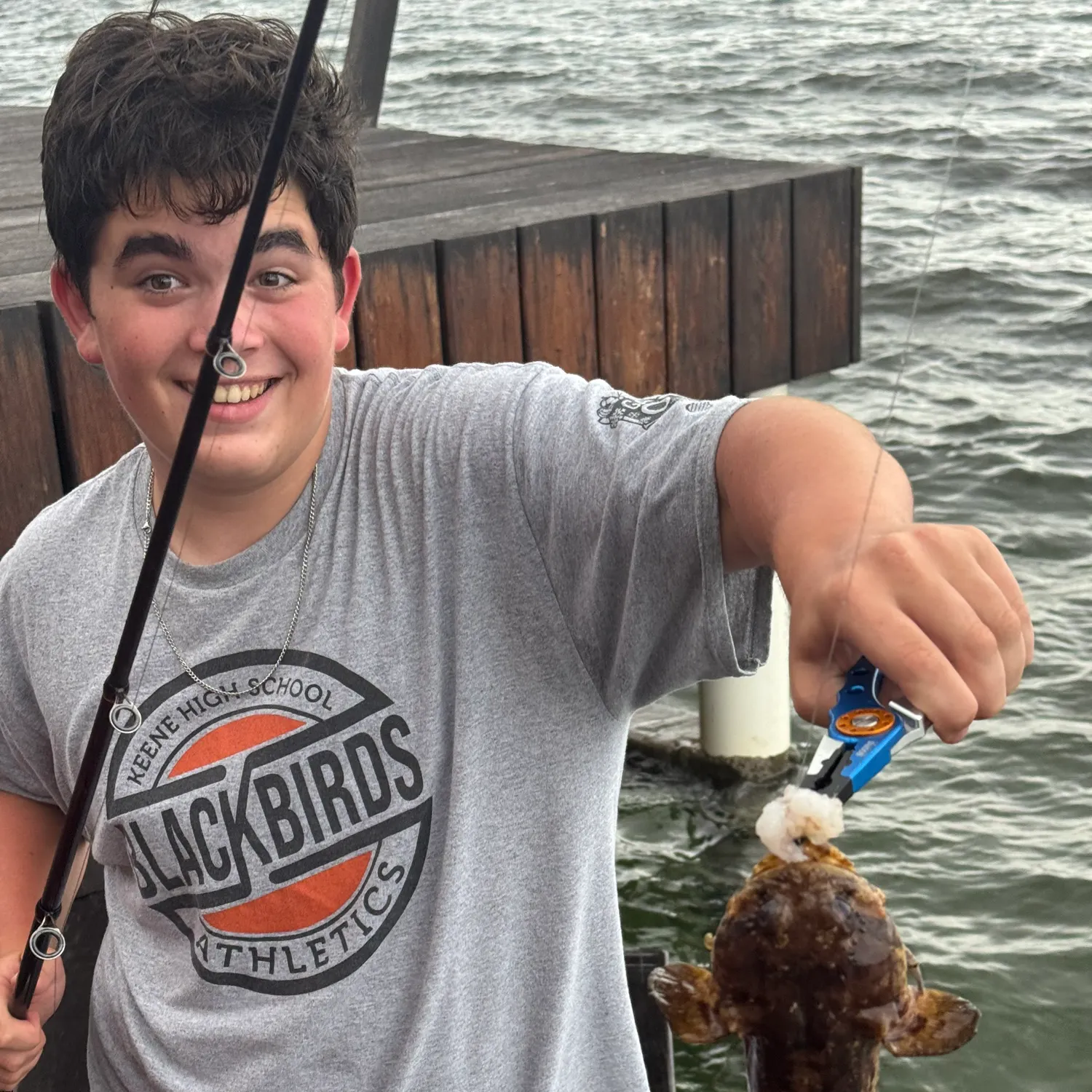 Oyster toadfish caught on Fishbrain