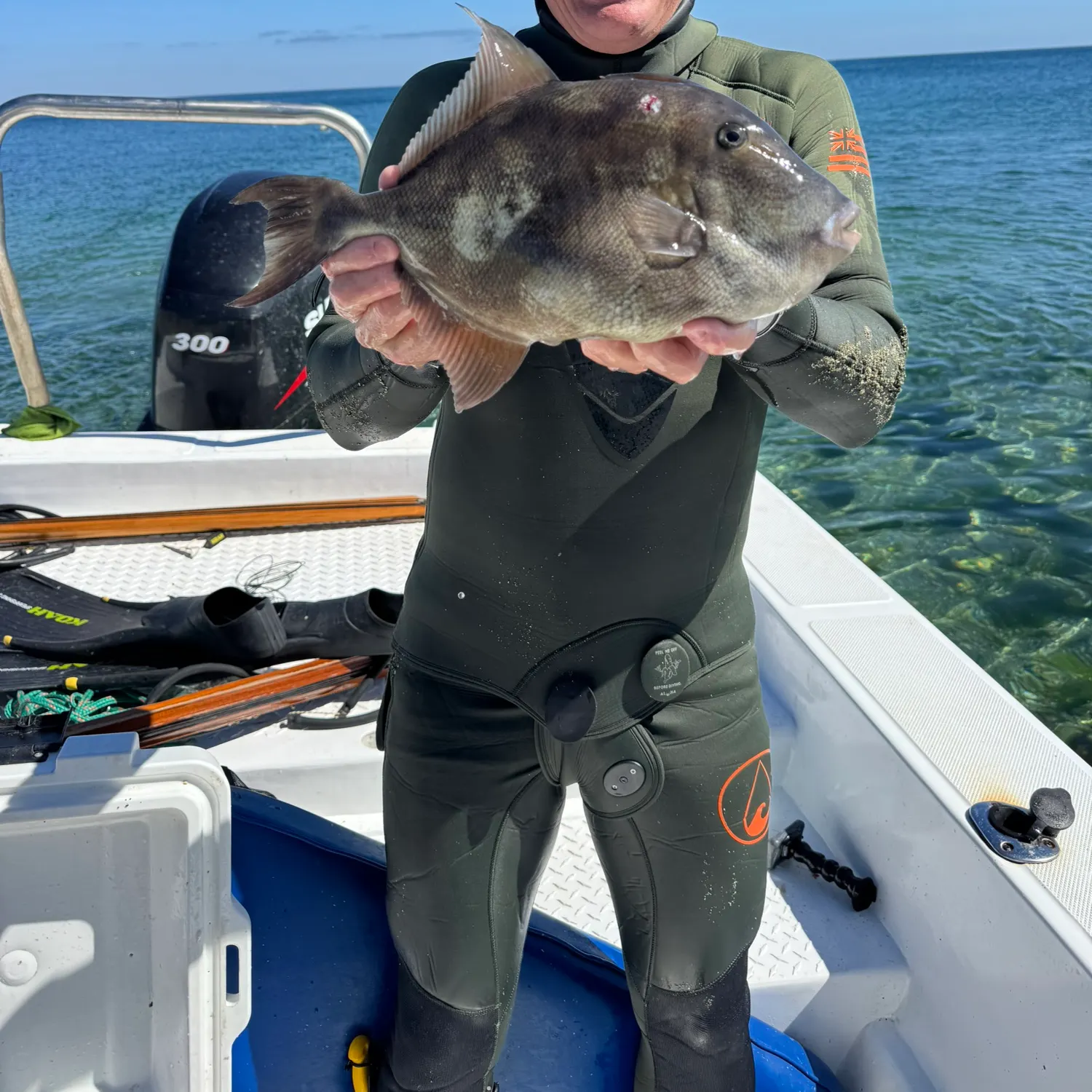 The most popular recent Finescale triggerfish catch on Fishbrain