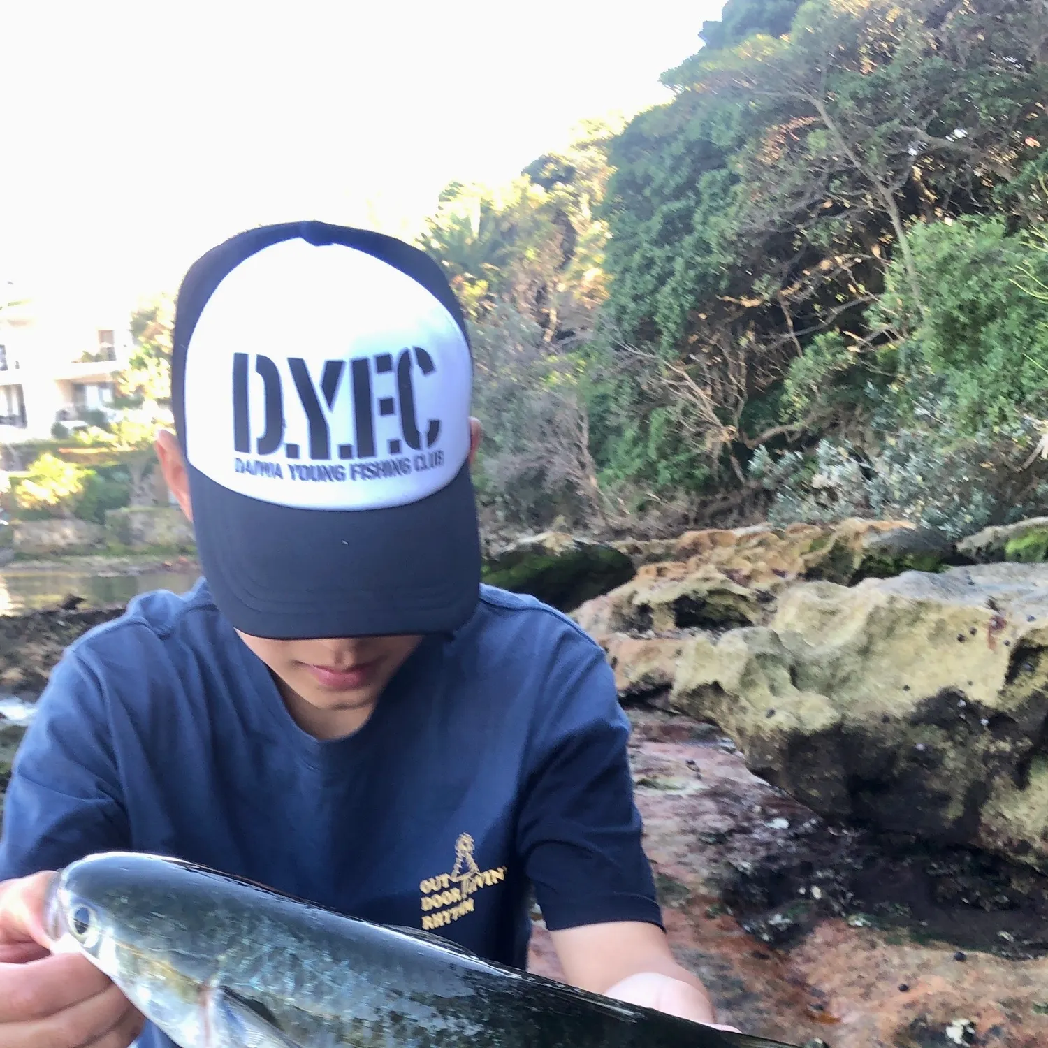 The most recent Largescale mullet catches on Fishbrain