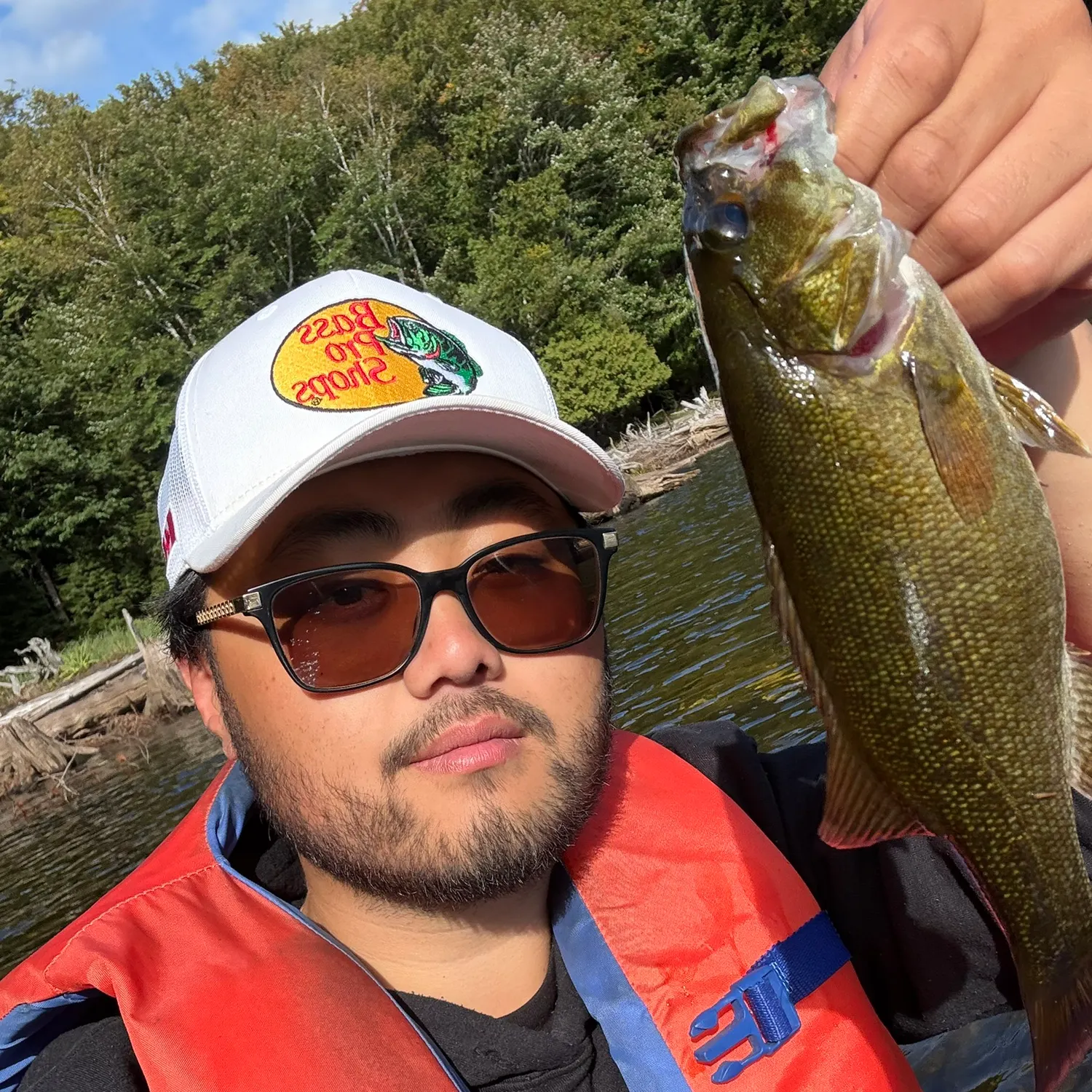 Smallmouth bass caught on Fishbrain