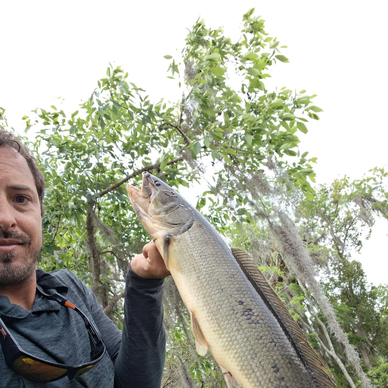 The most recent Ruddy bowfin catches on Fishbrain