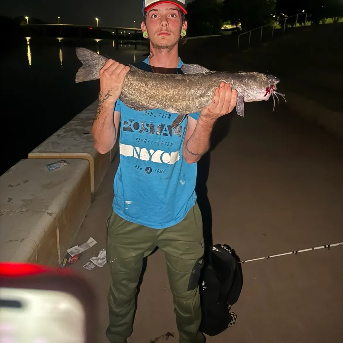 Channel catfish caught on Fishbrain