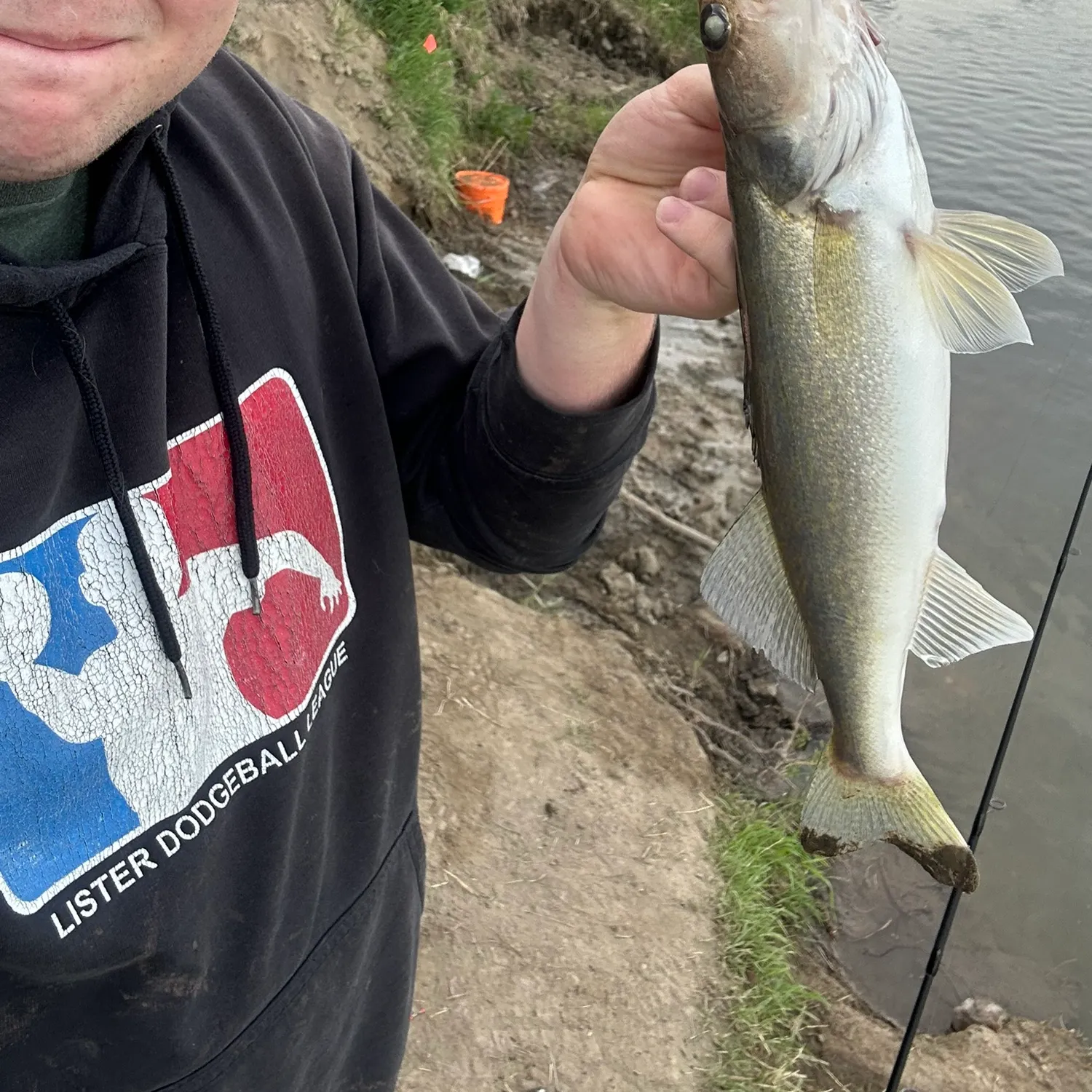 The most recent Walleye catches on Fishbrain