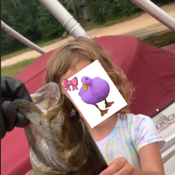 Smallmouth bass caught on Fishbrain