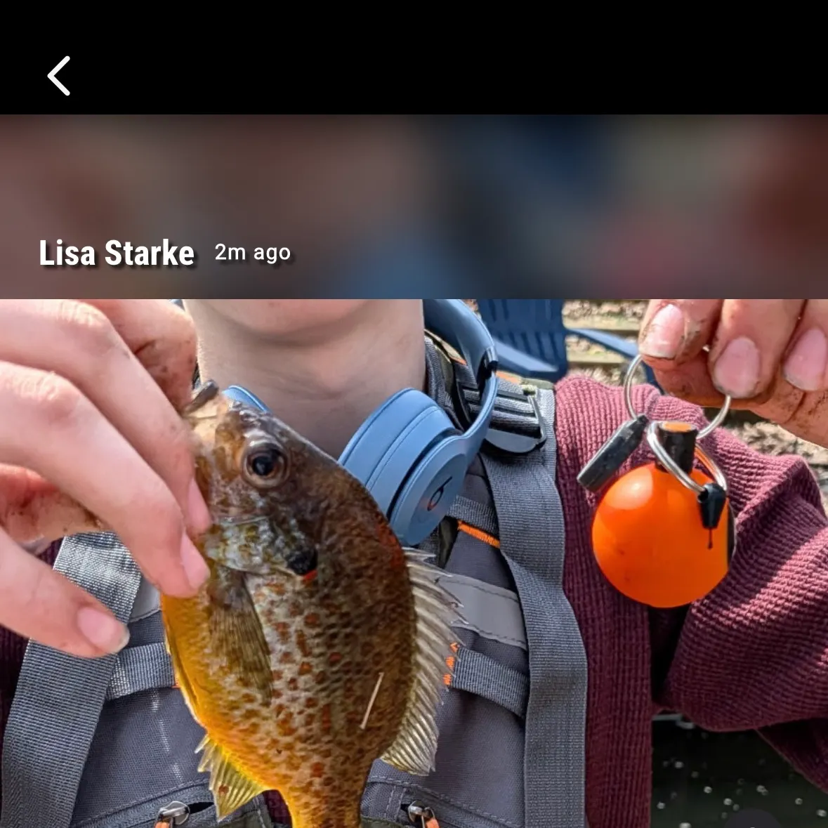 recently logged catches