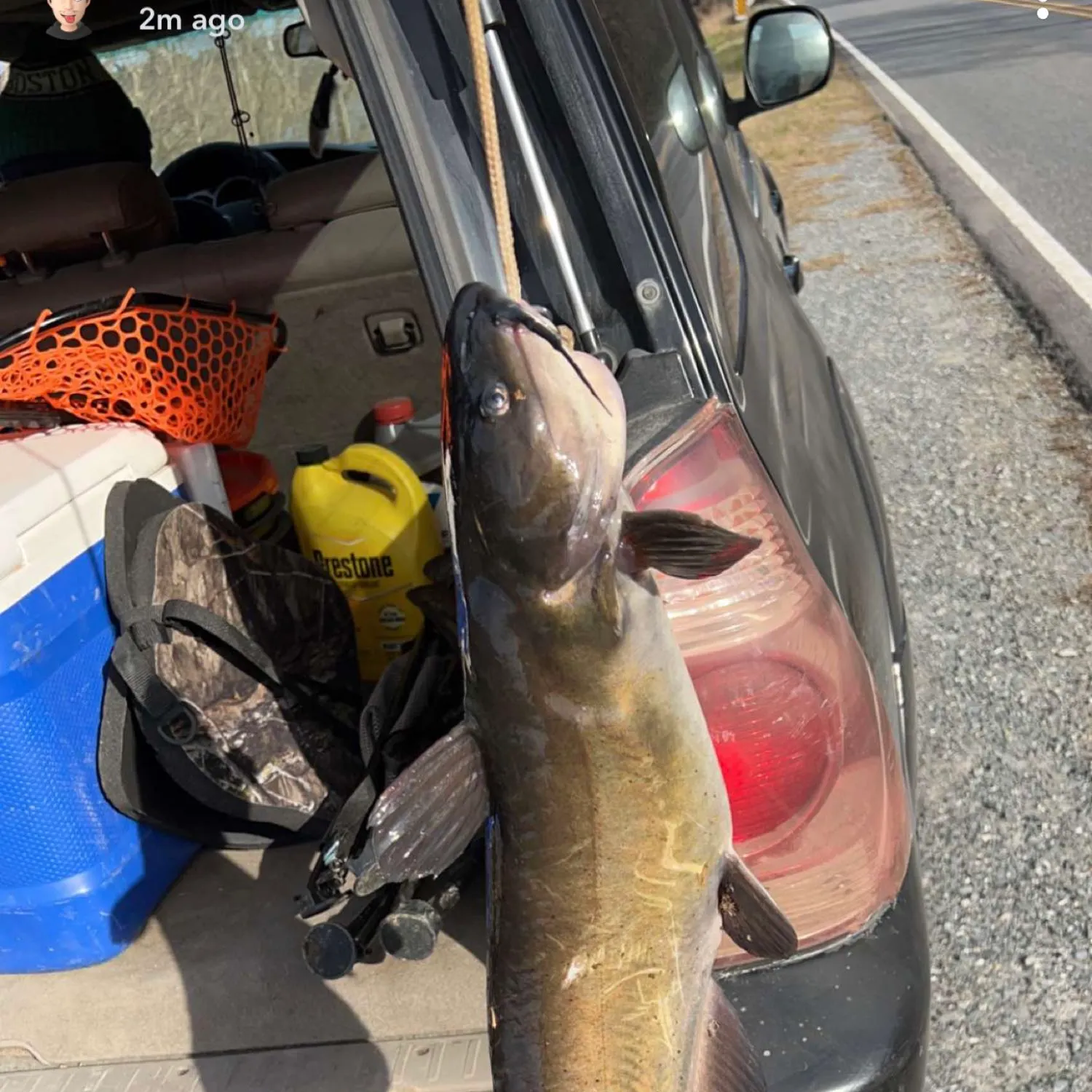 recently logged catches