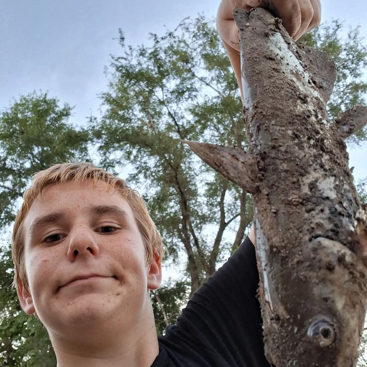 Channel catfish caught on Fishbrain