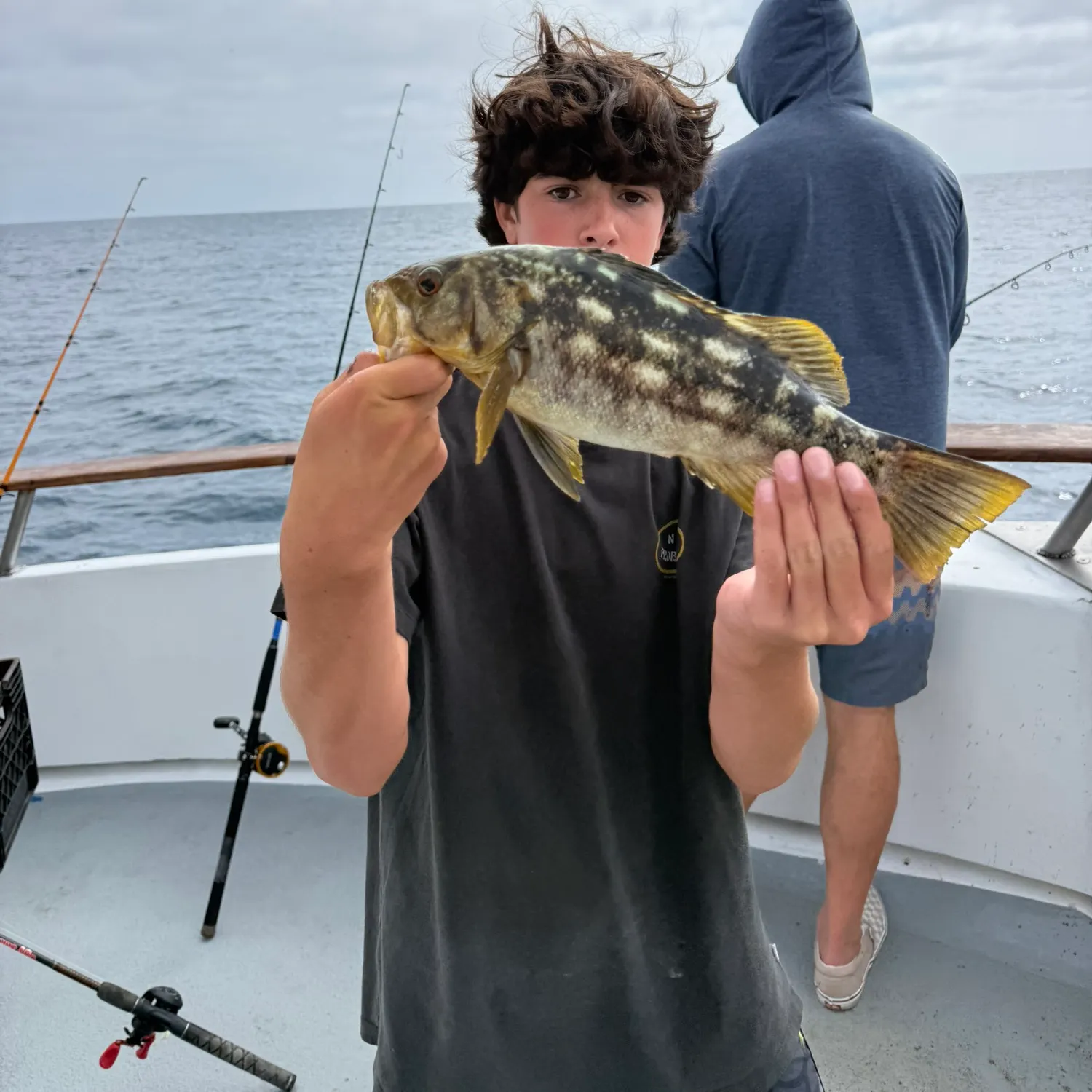 The most recent Kelp bass catches on Fishbrain