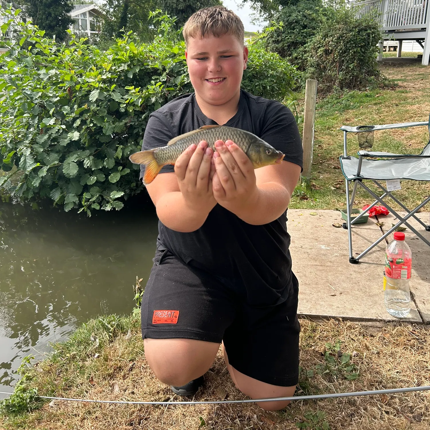 Common carp caught on Fishbrain