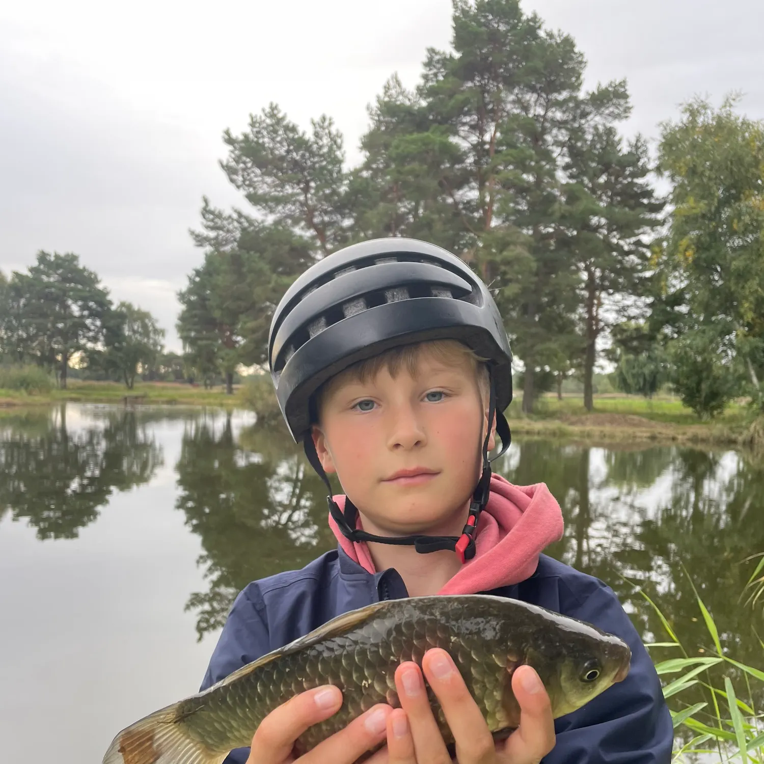 The most recent Crucian carp catches on Fishbrain