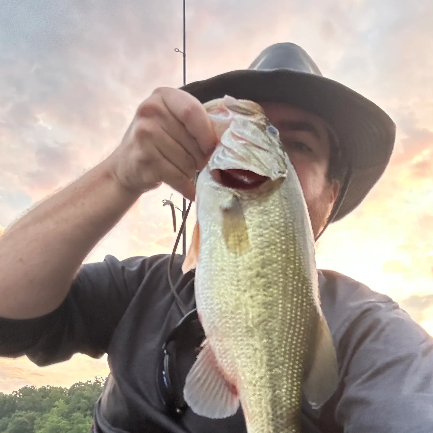 Largemouth bass caught on Fishbrain