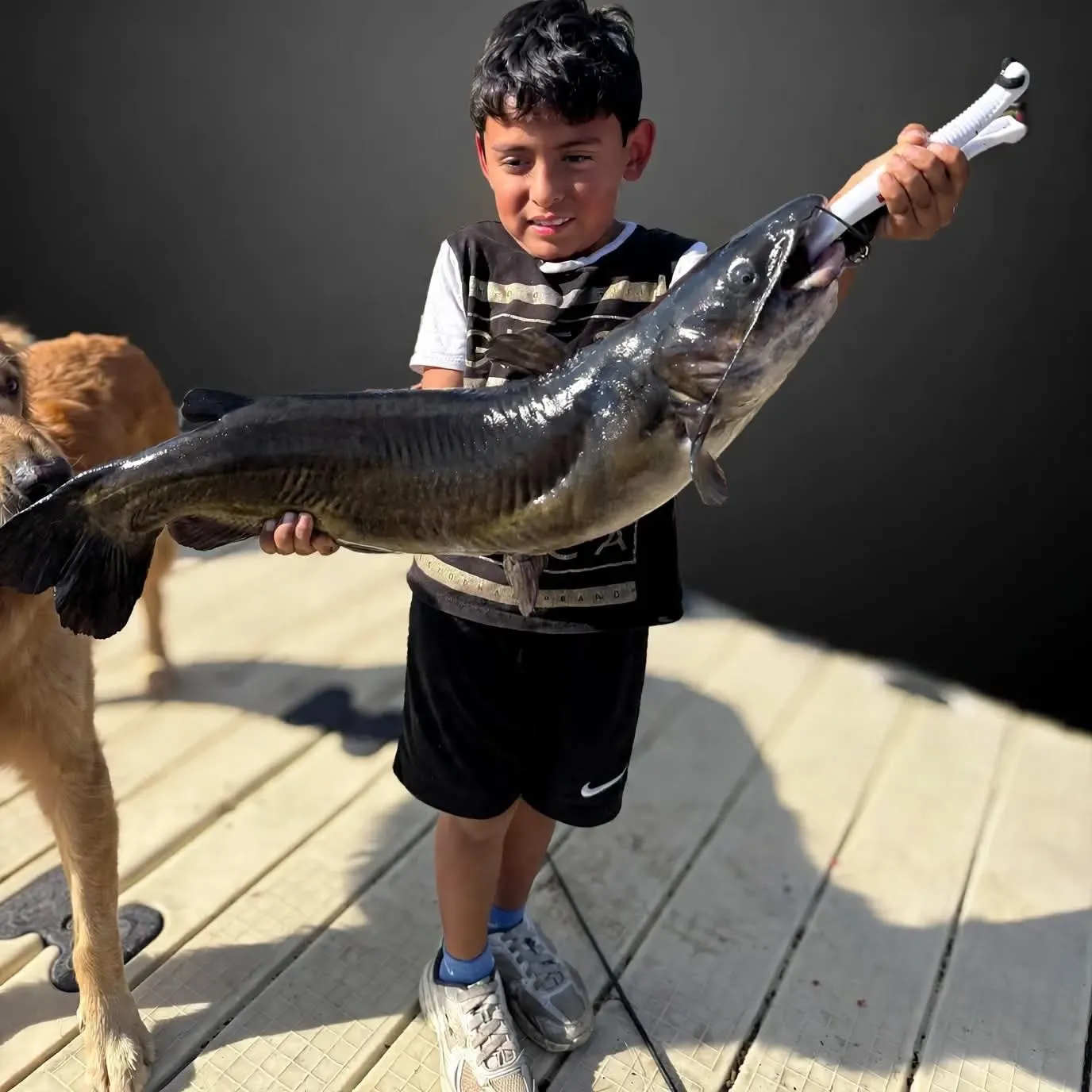 Channel catfish caught on Fishbrain