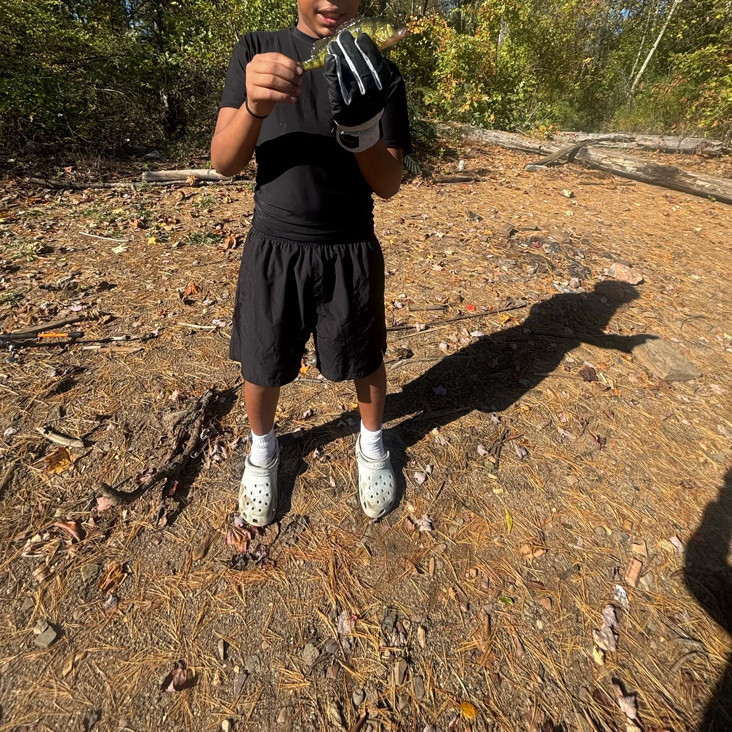 Fish caught on Fishbrain