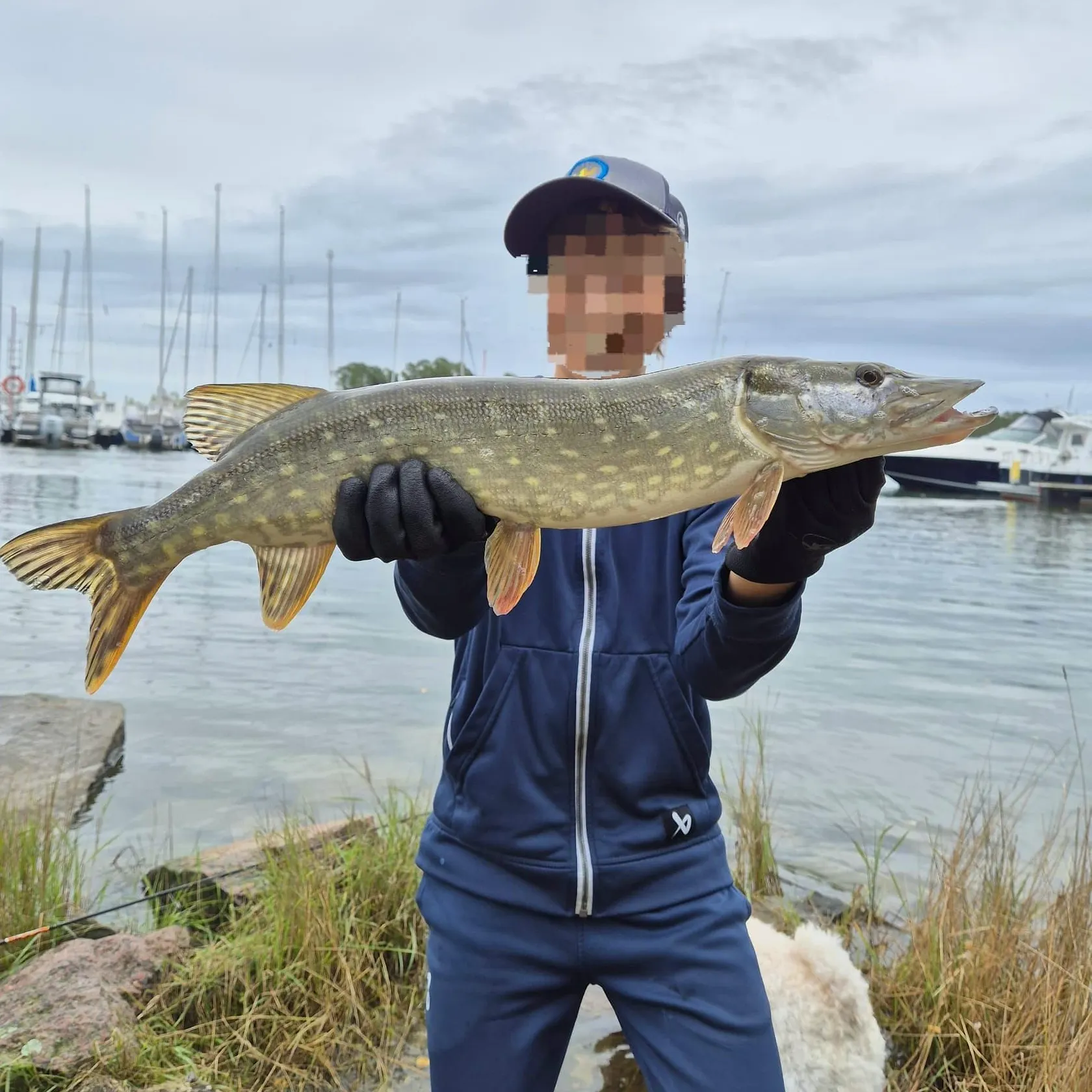 Northern pike caught on Fishbrain