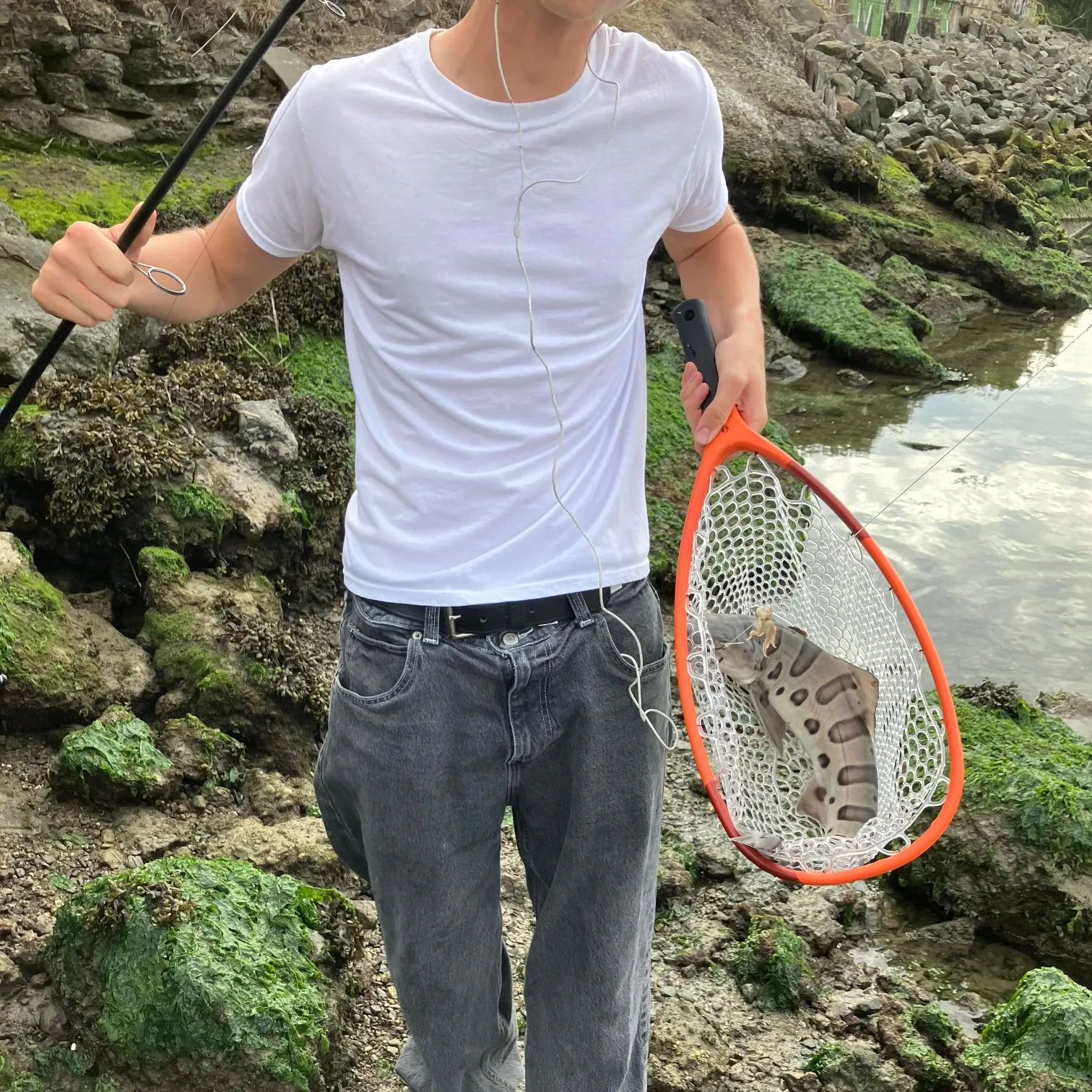 Leopard shark caught on Fishbrain