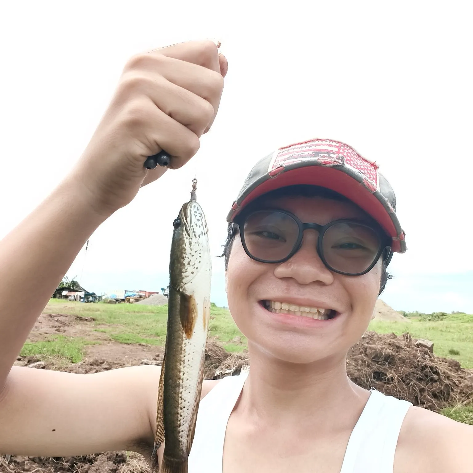 The most recent Small snakehead catches on Fishbrain