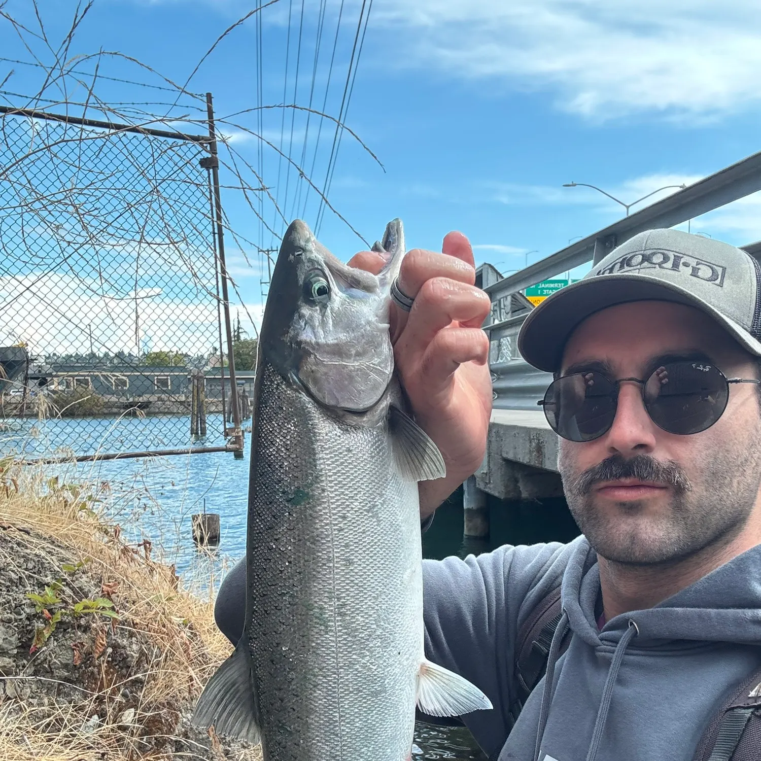 Chinook salmon caught on Fishbrain