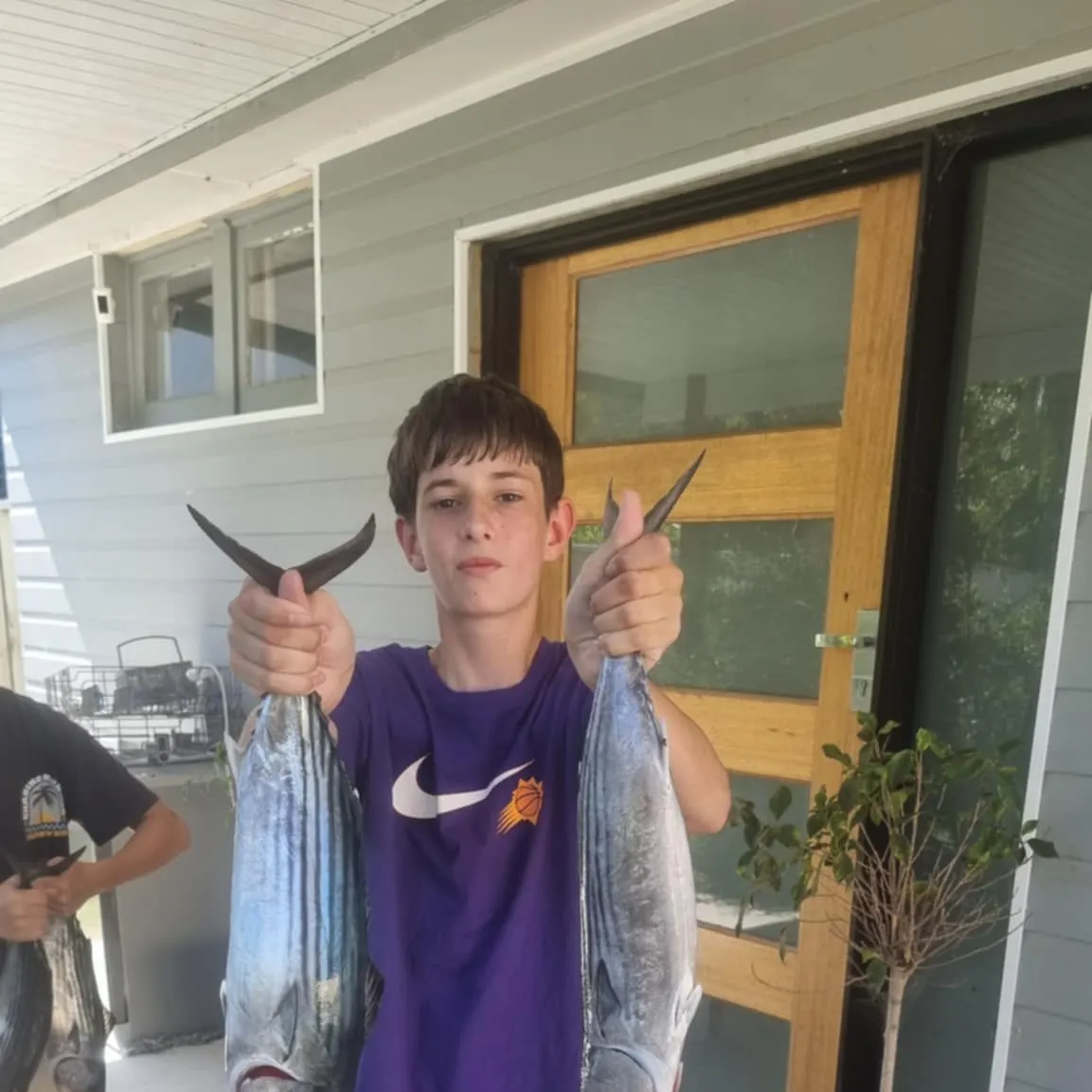 The most recent Australian bonito catches on Fishbrain