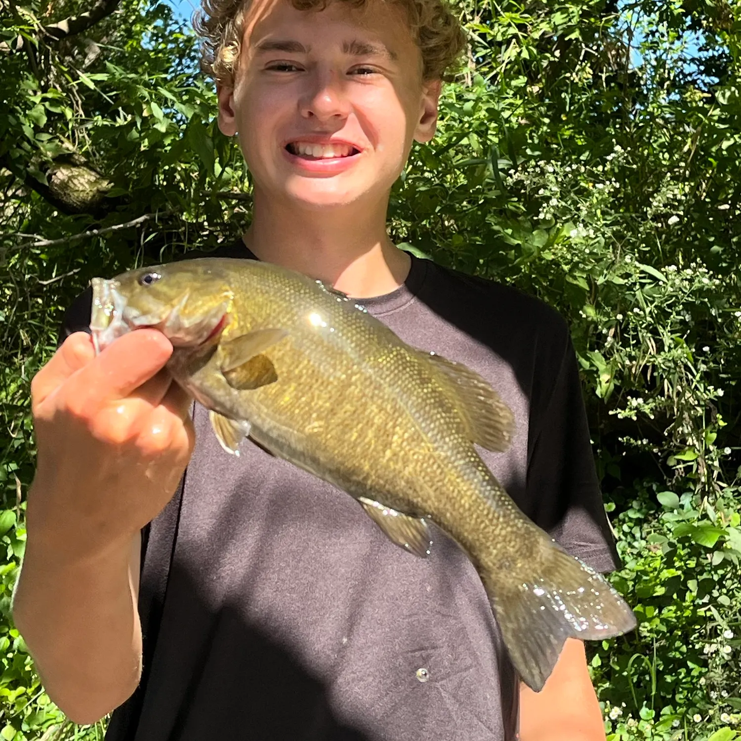 Smallmouth bass caught on Fishbrain