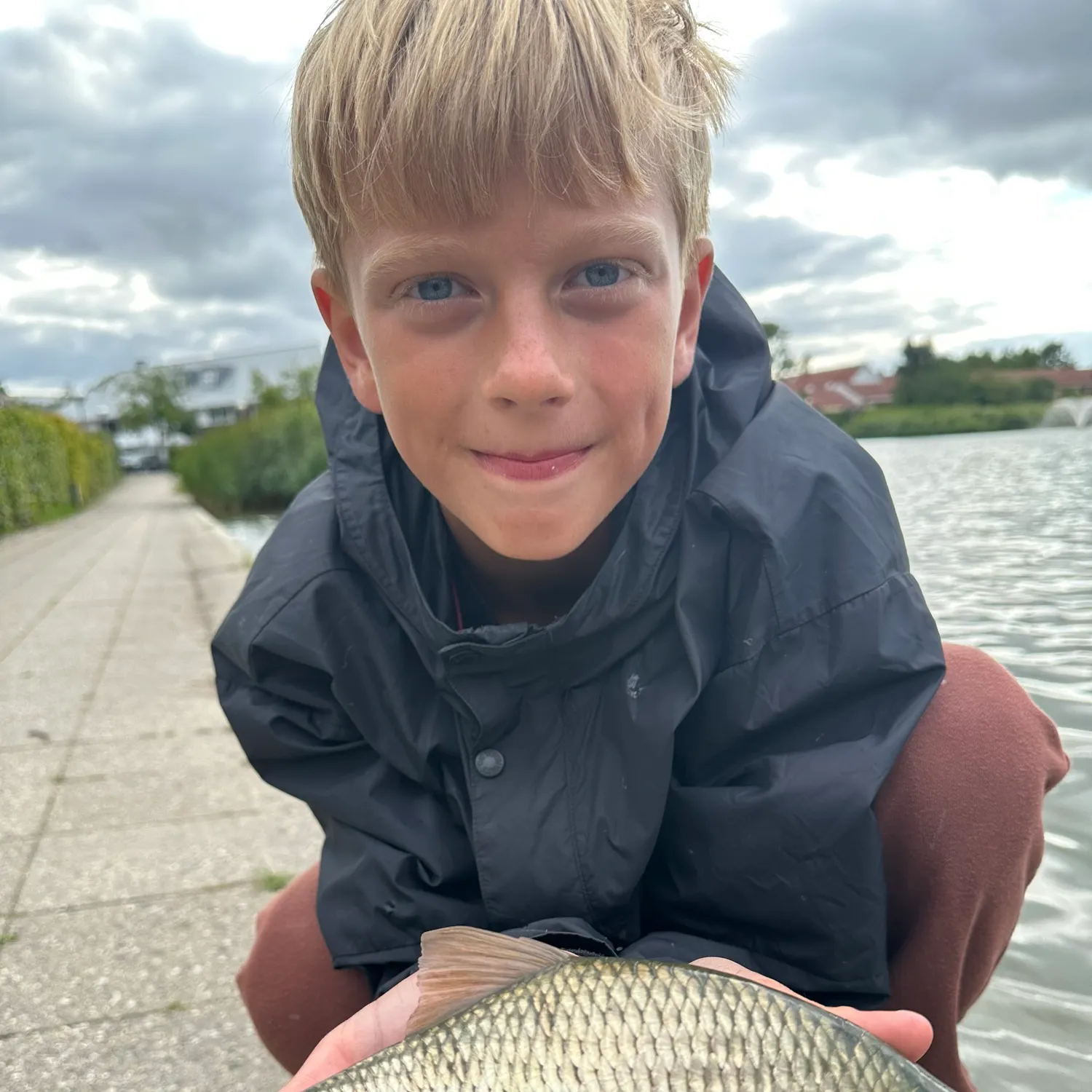 Common rudd caught on Fishbrain