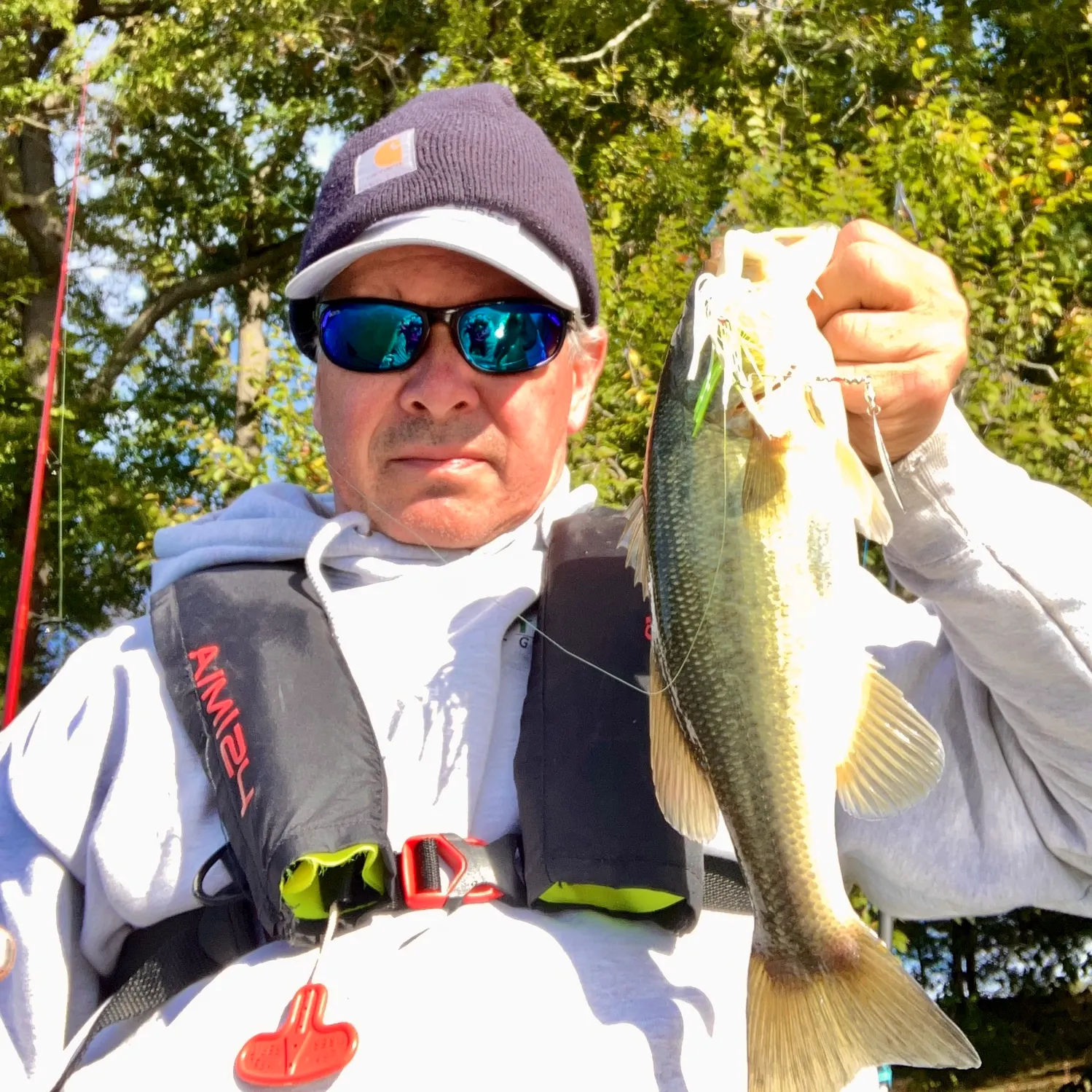 Largemouth bass caught on Fishbrain