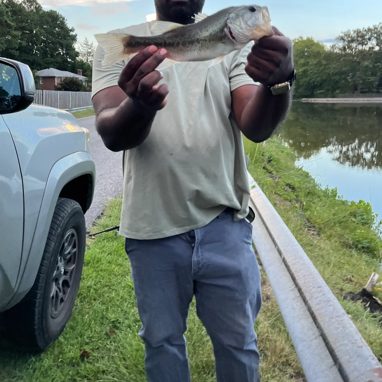 Spotted bass caught on Fishbrain