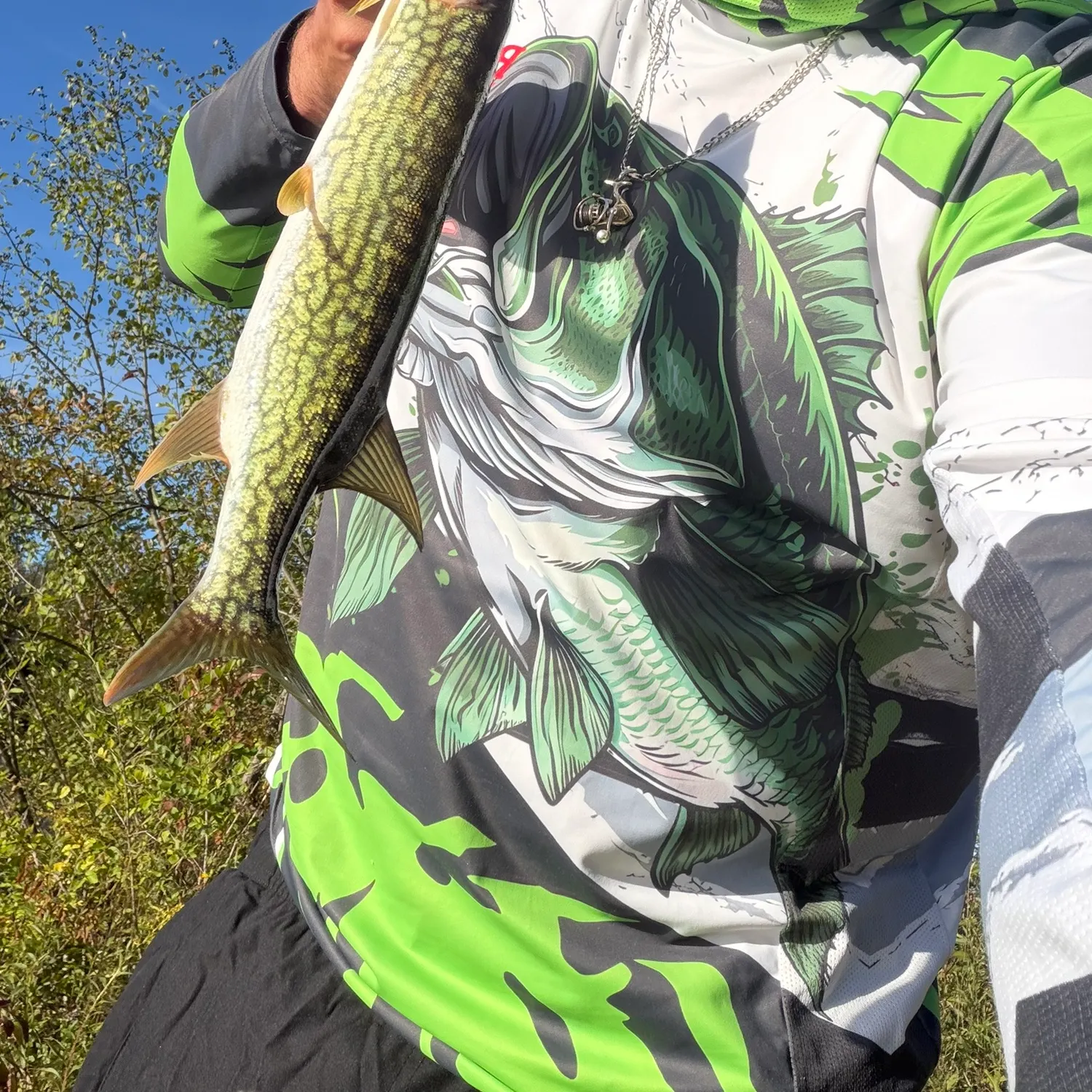 Chain pickerel caught on Fishbrain