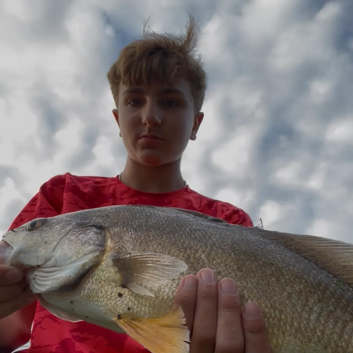 Freshwater drum caught on Fishbrain