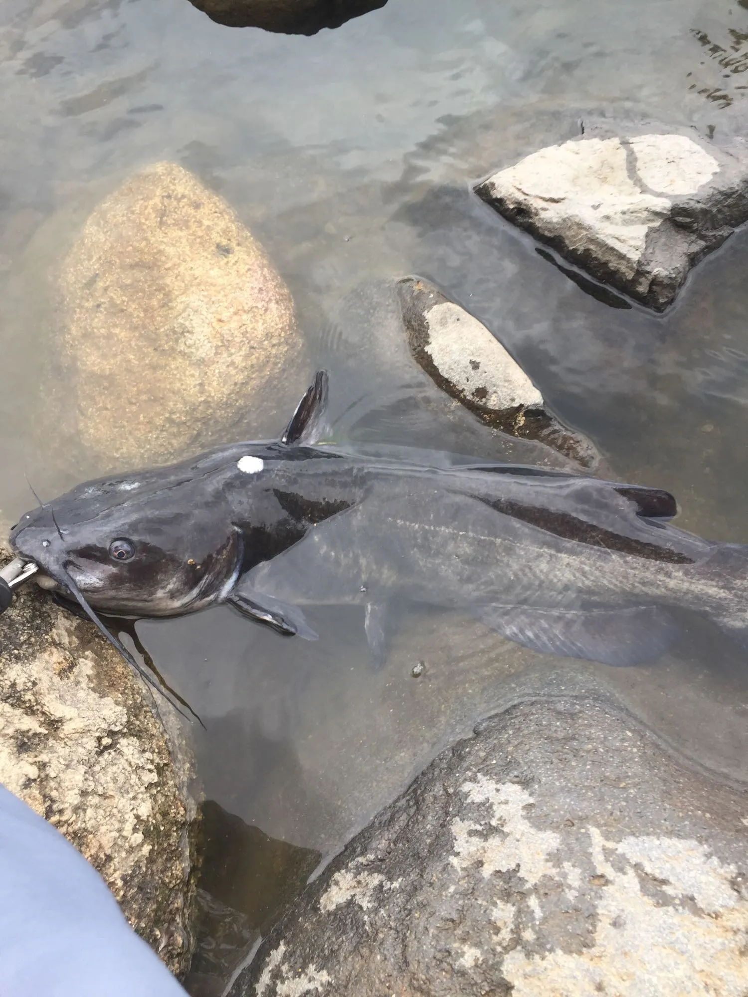 Post image from AgentS19