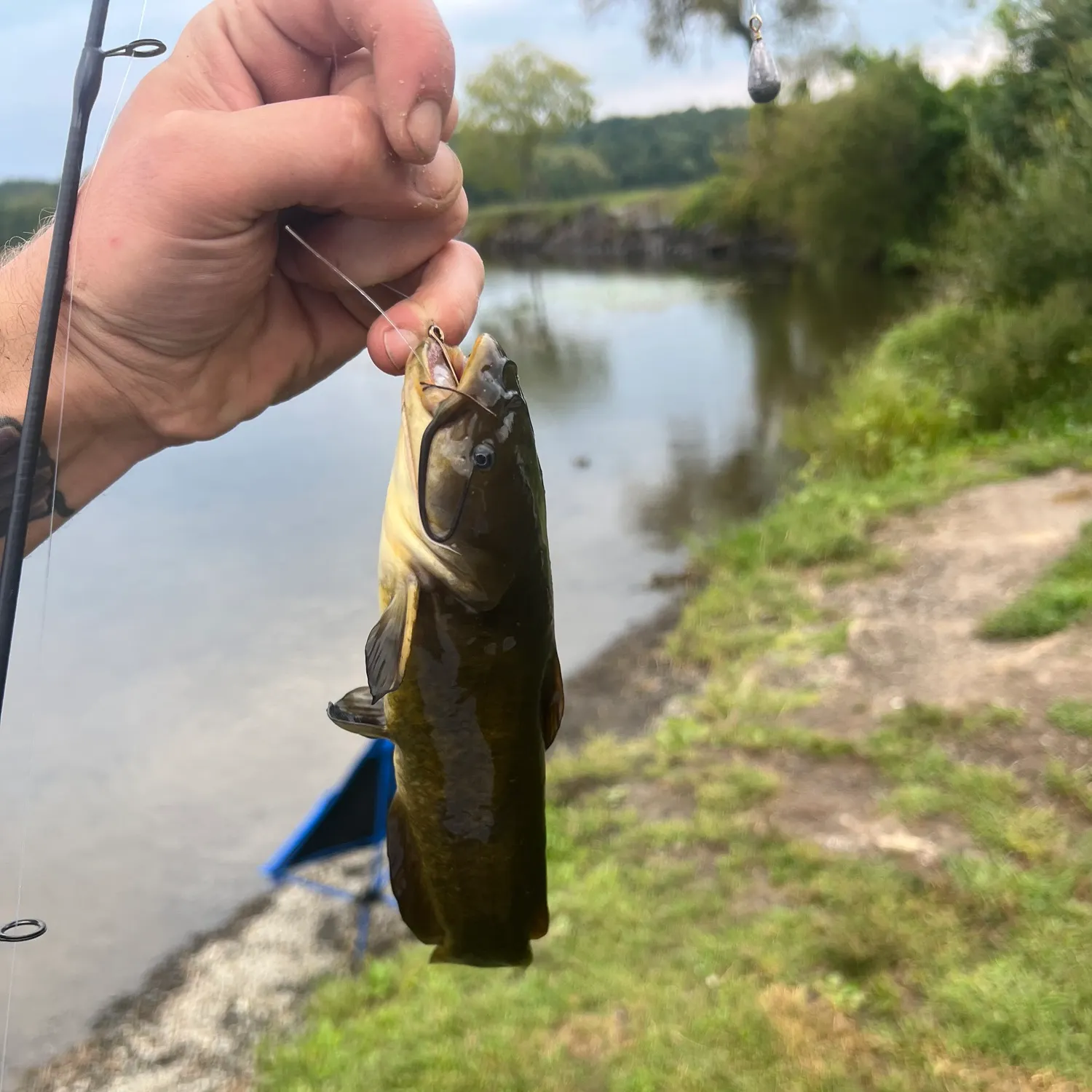 catch