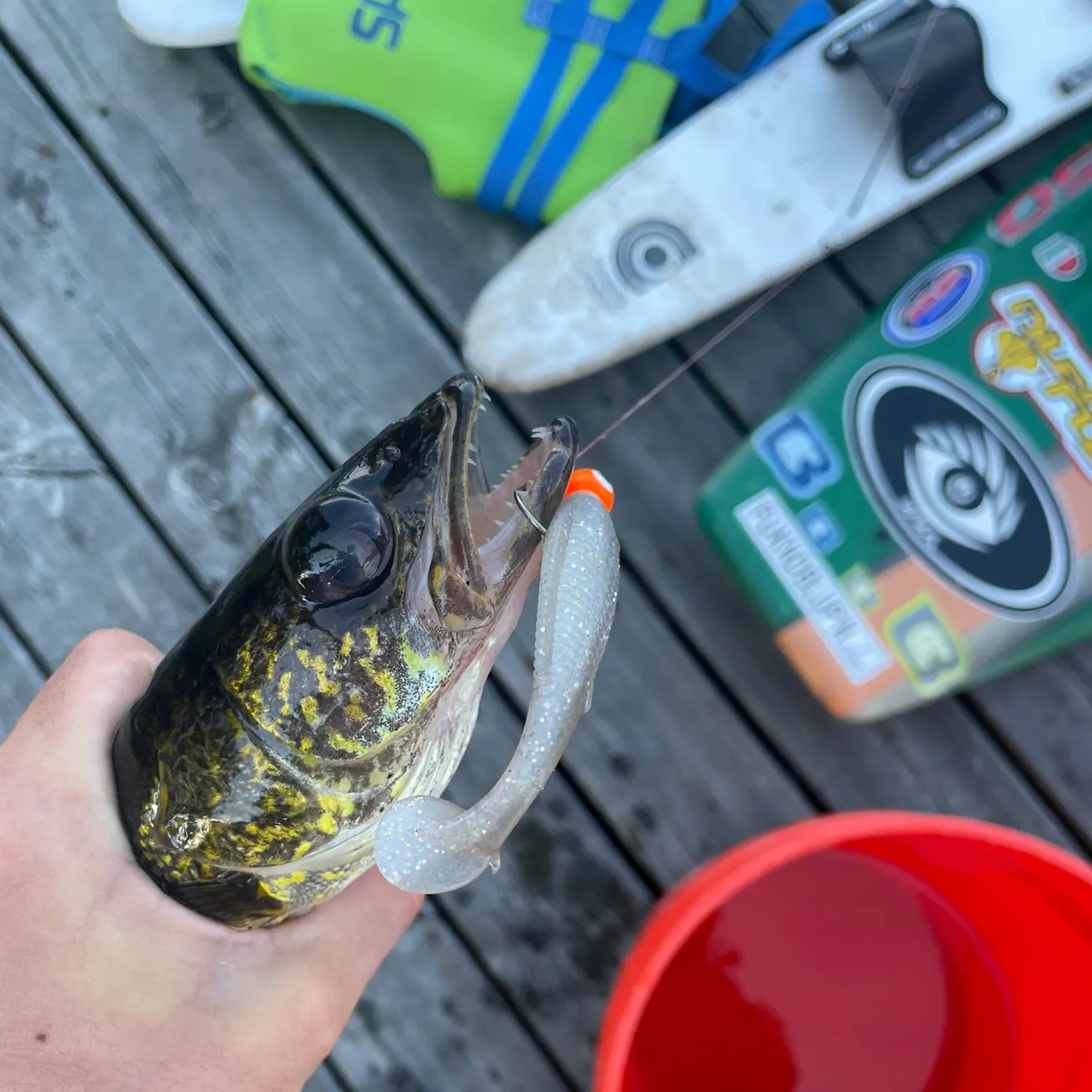 catch