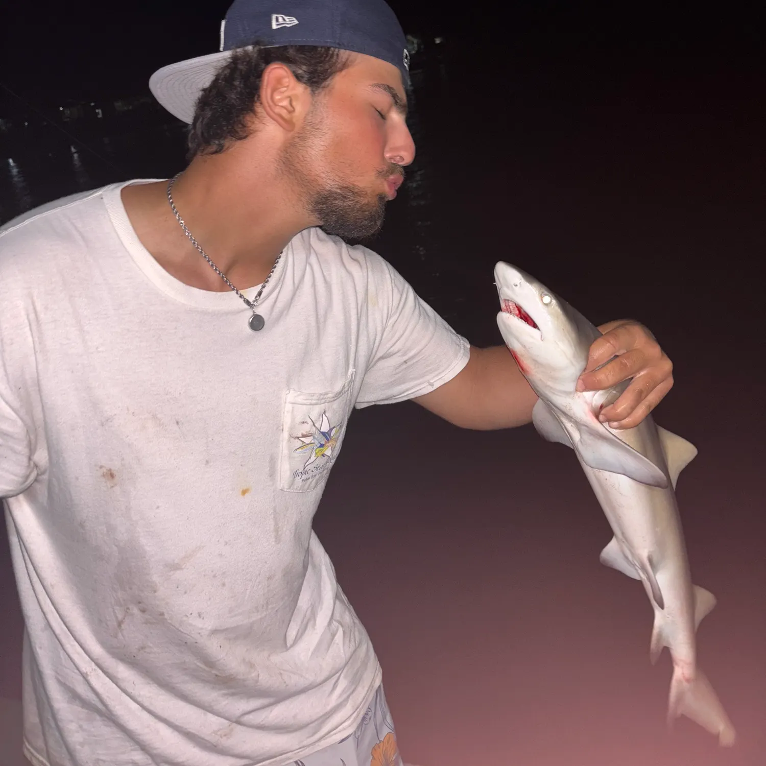 The most recent Lemon shark catches on Fishbrain
