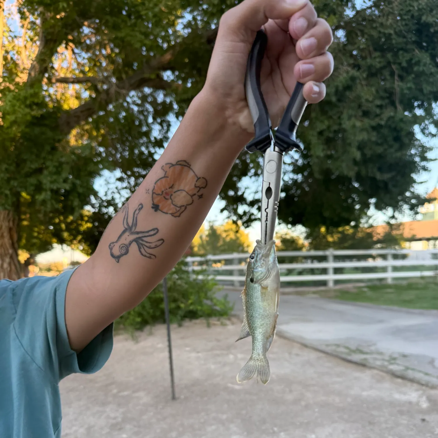 catch