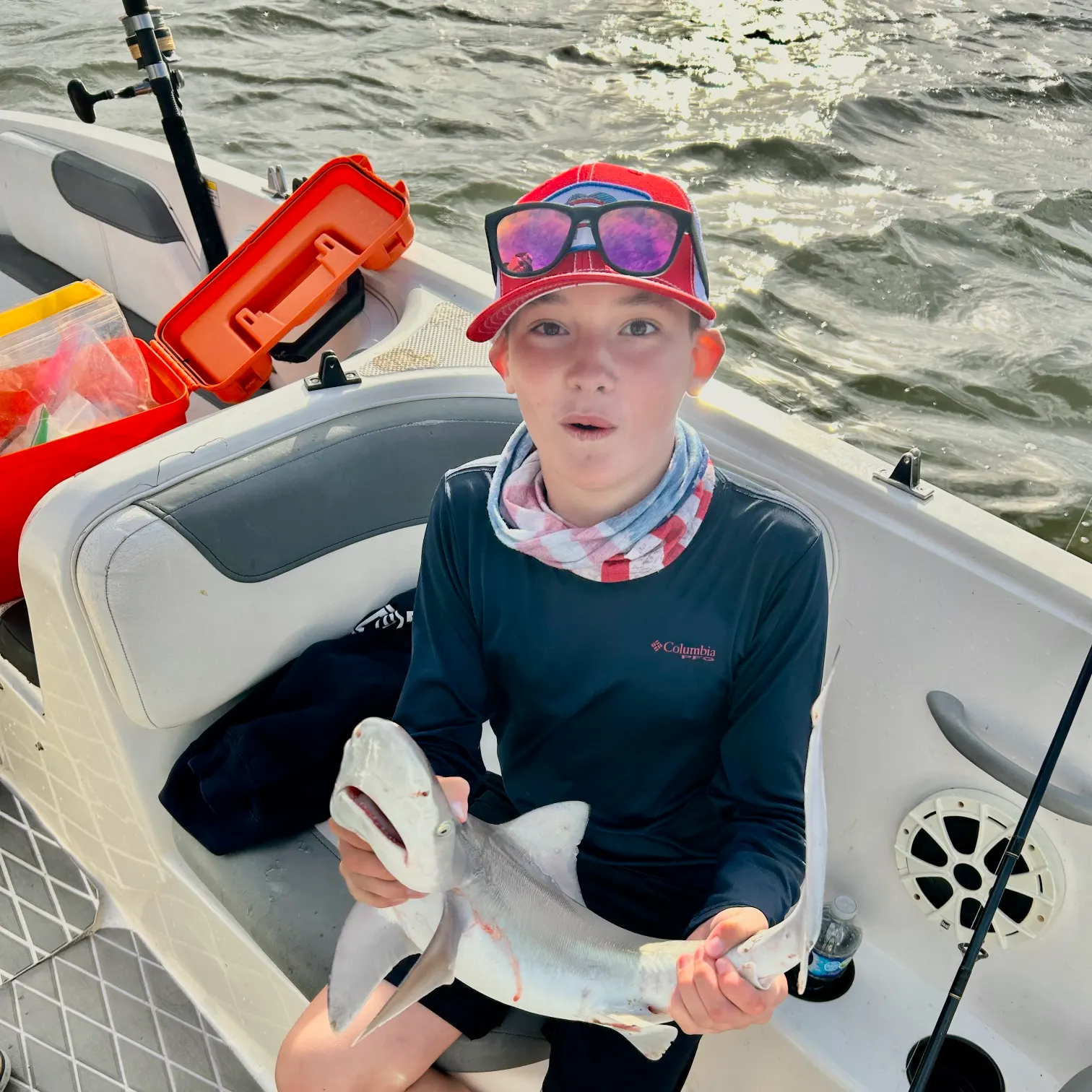 The most recent Atlantic sharpnose shark catches on Fishbrain