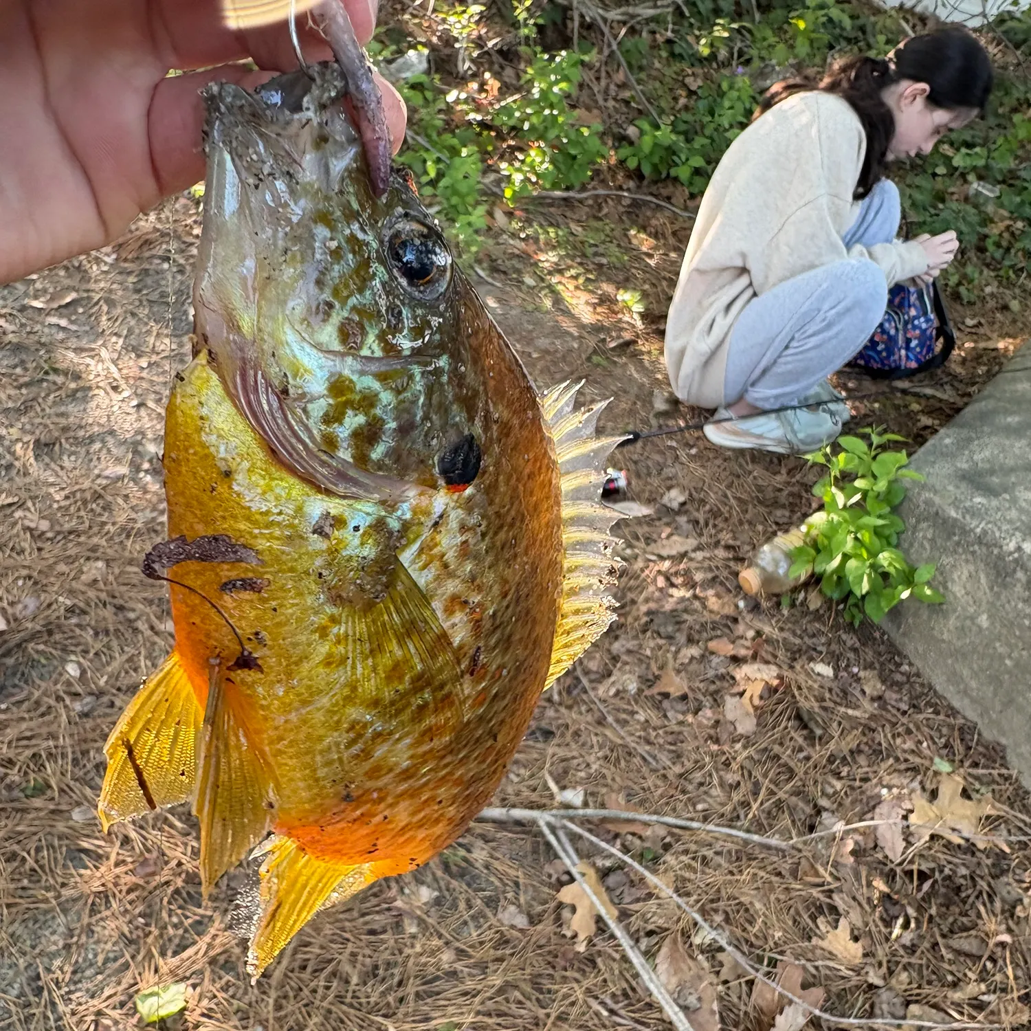 catch