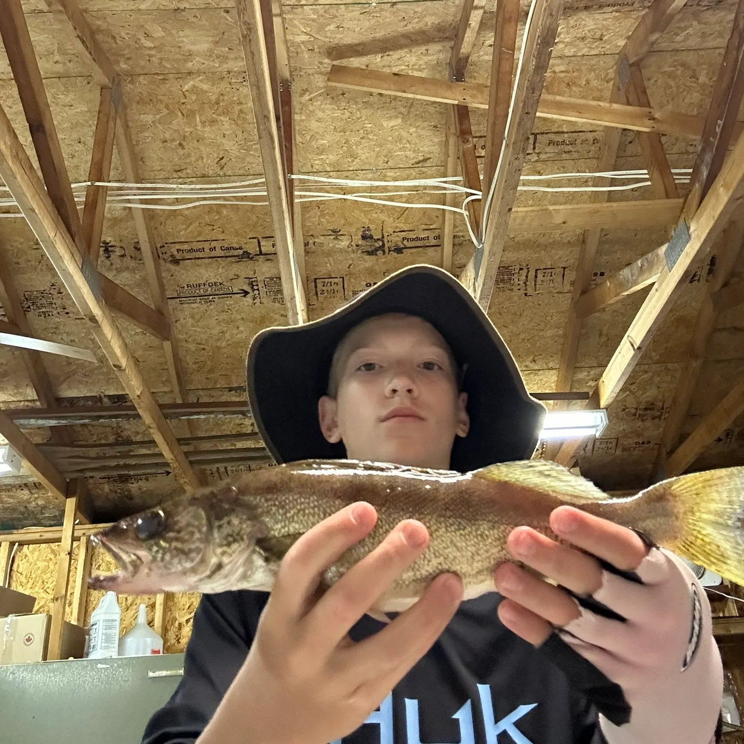 Walleye caught on Fishbrain