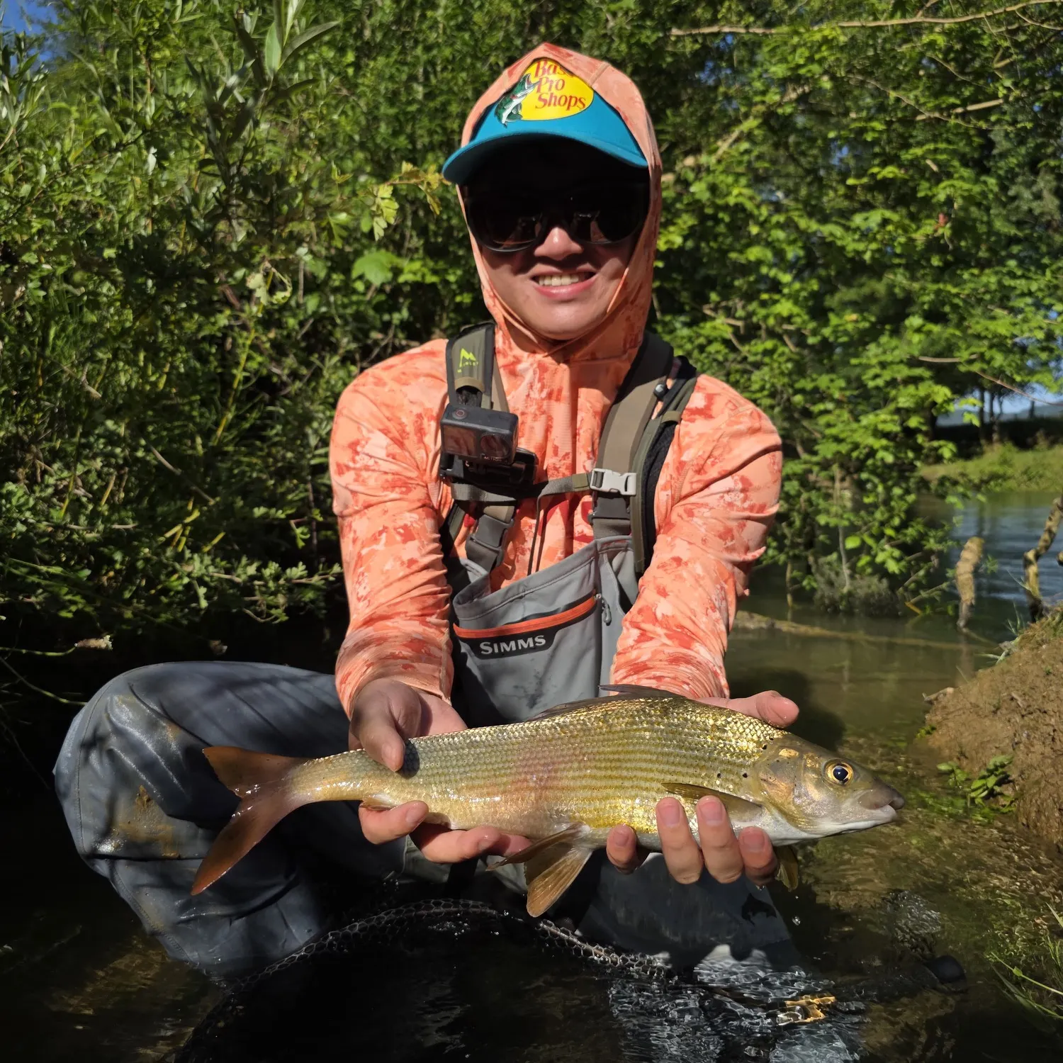 The most recent European grayling catches on Fishbrain