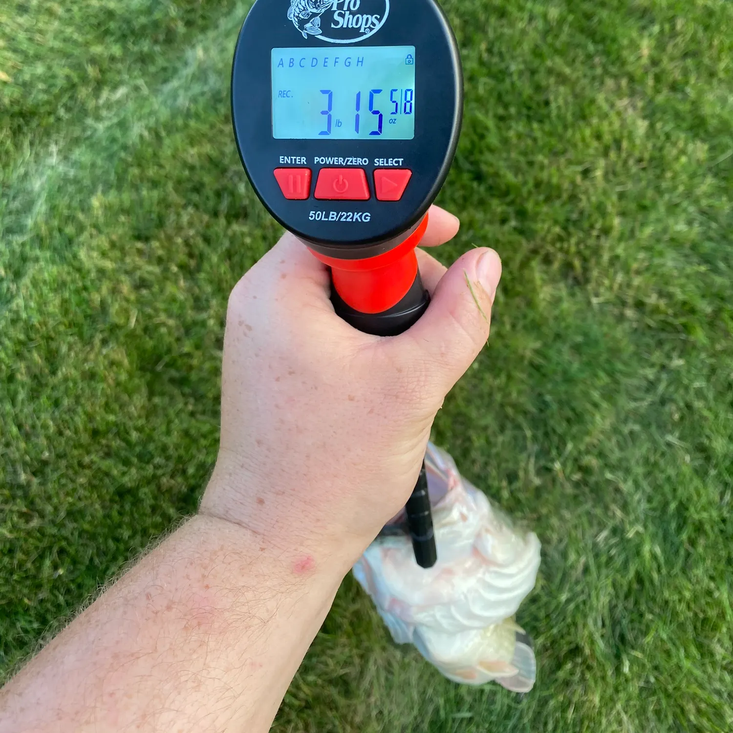 recently logged catches