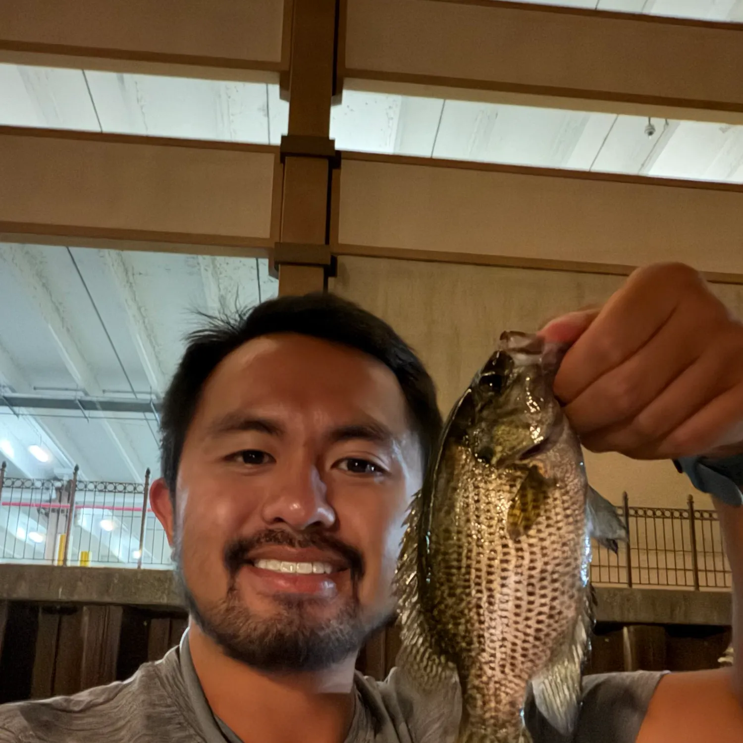 Rock bass caught on Fishbrain