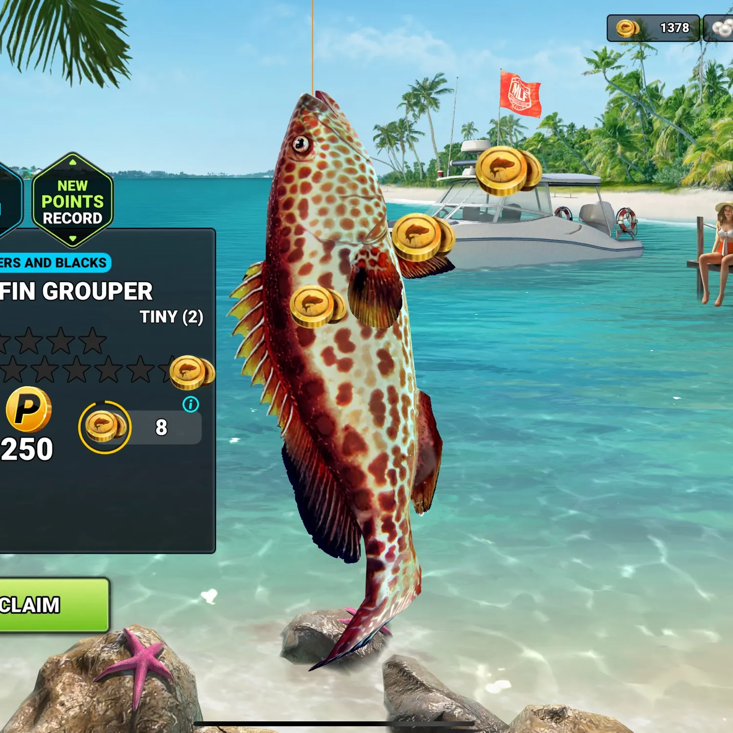 The most recent Yellowfin grouper catches on Fishbrain
